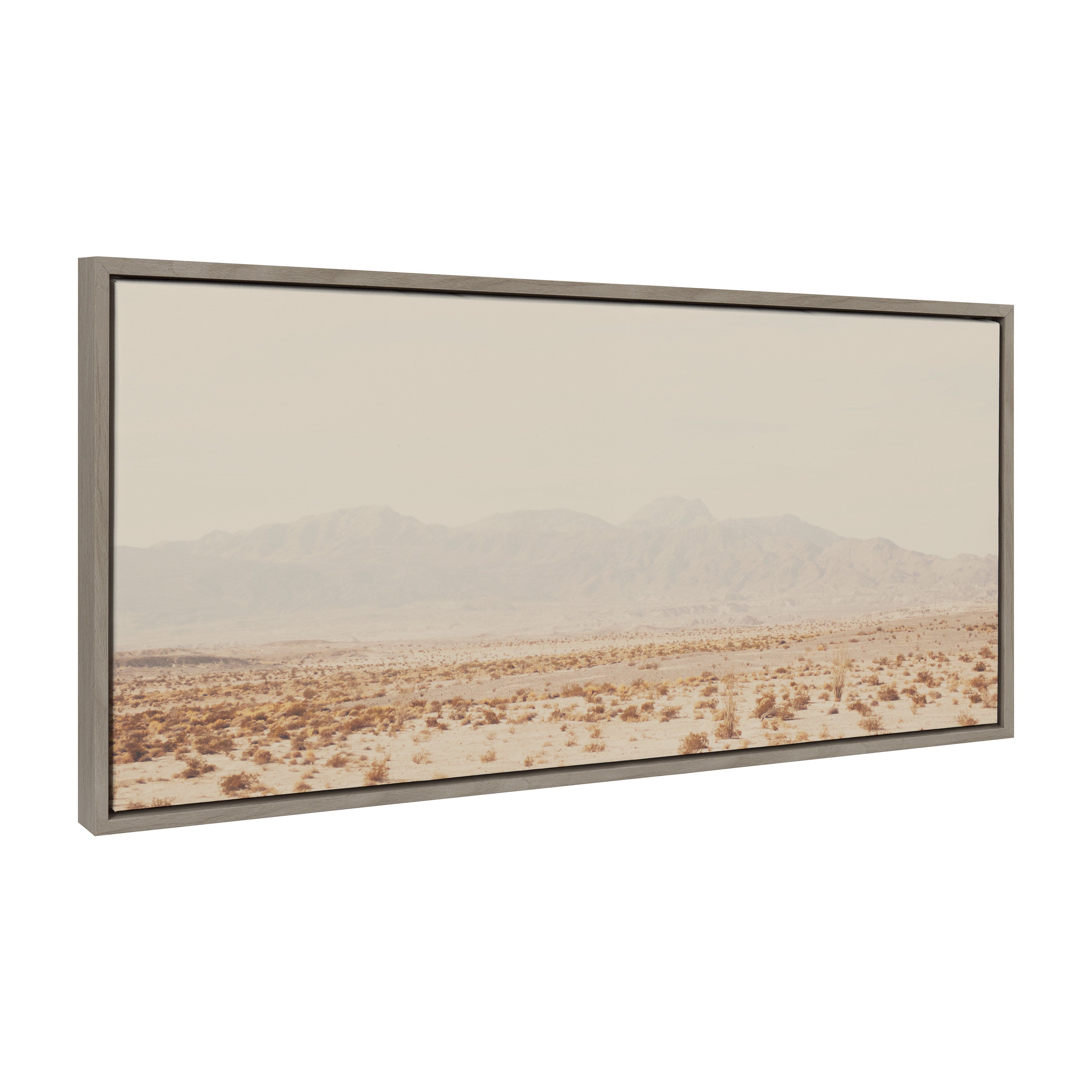 Framed Canvas Sylvie Graywash 18x40 1