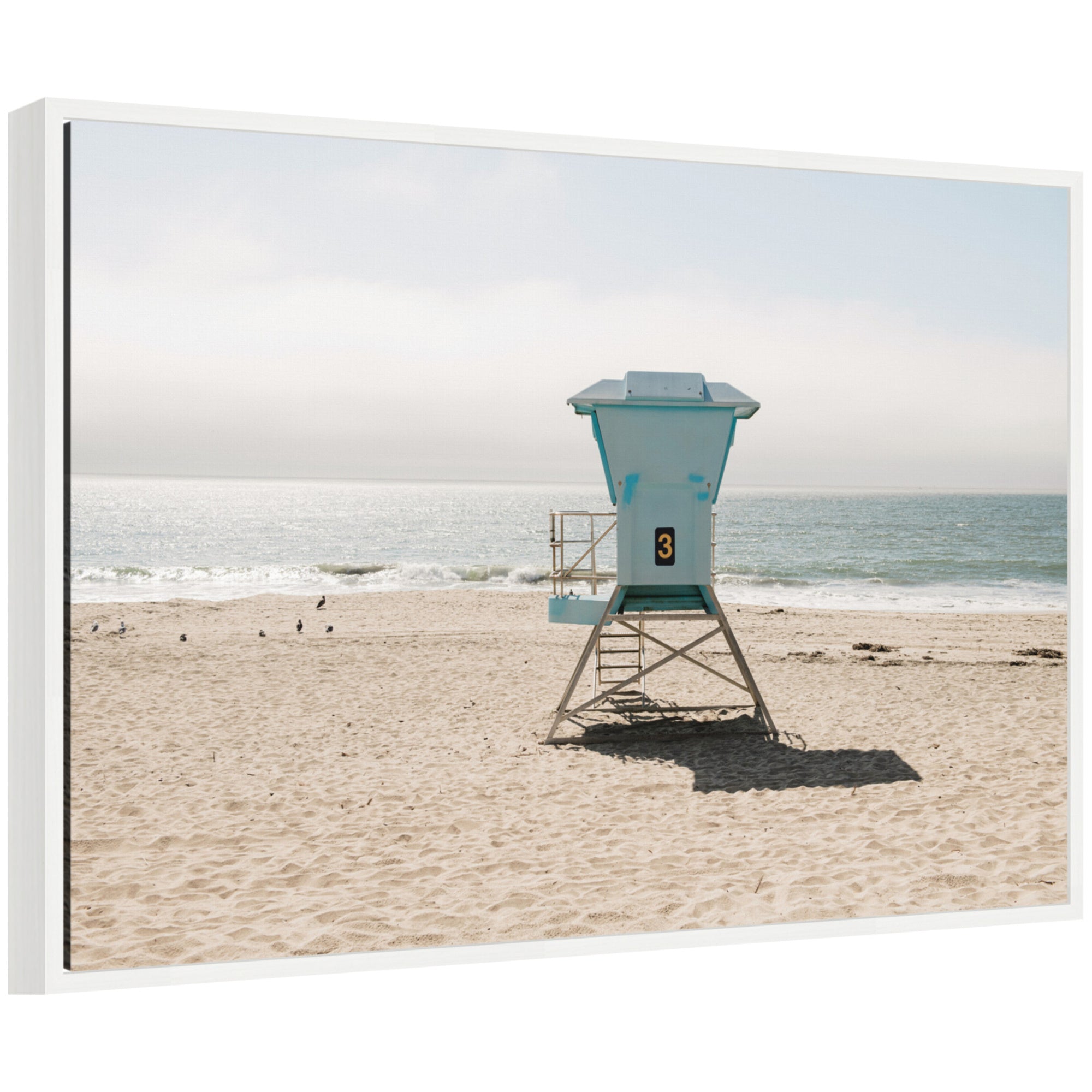Framed Canvas 33x23 Sylvie White 1
