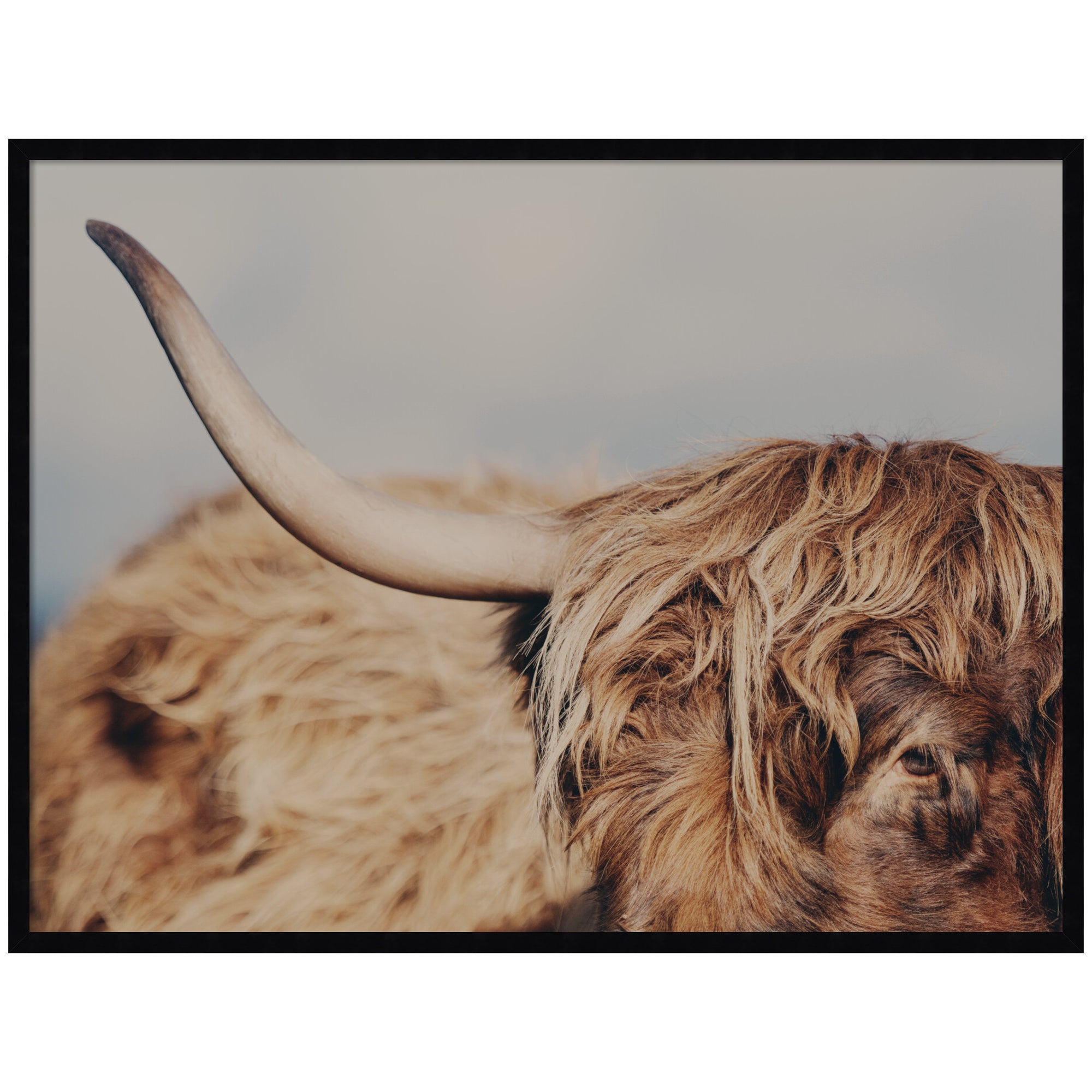 Framed Art Svelte Noir Black 41x31 1