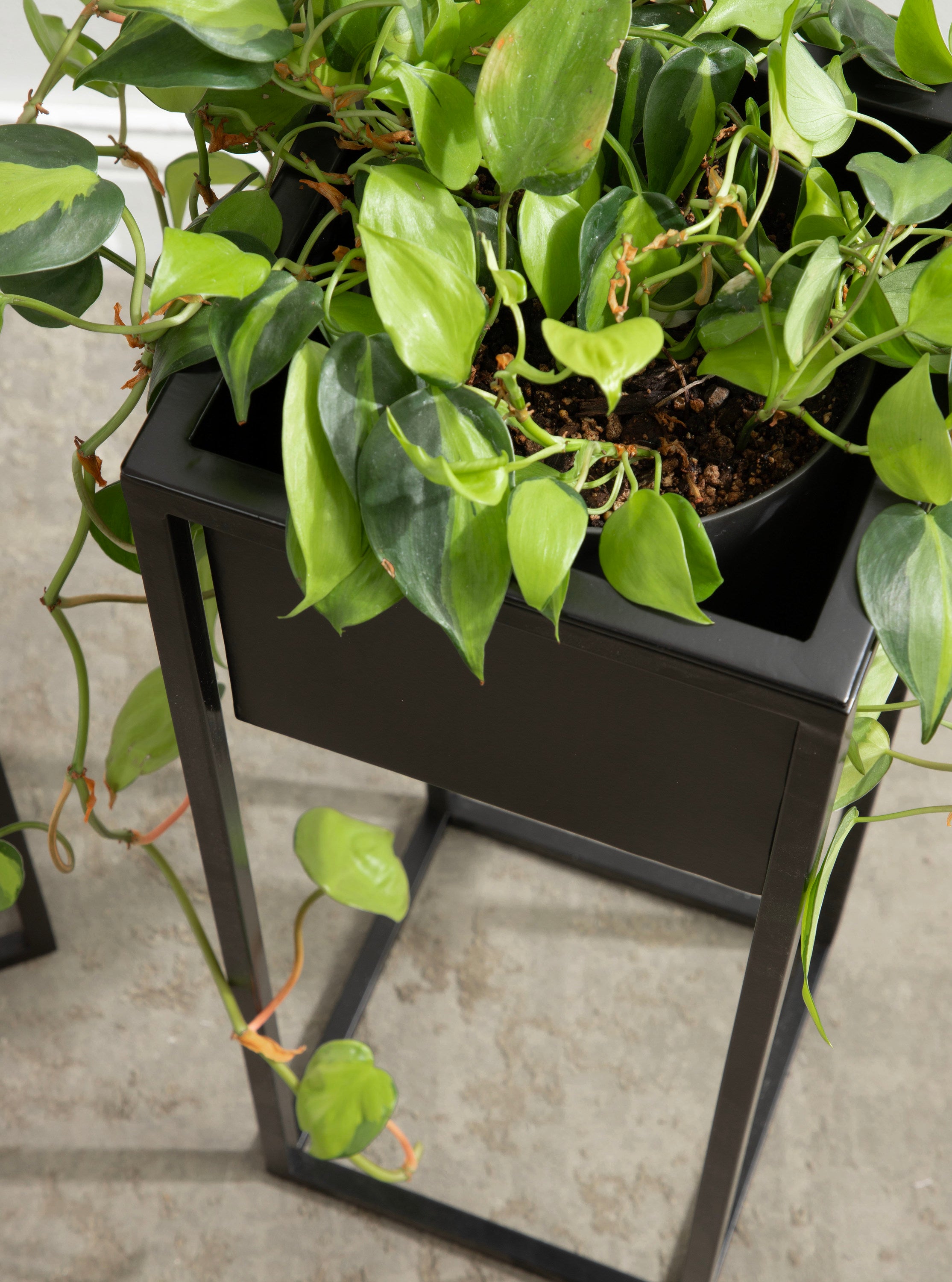 Palade Free Standing Metal Planter Set
