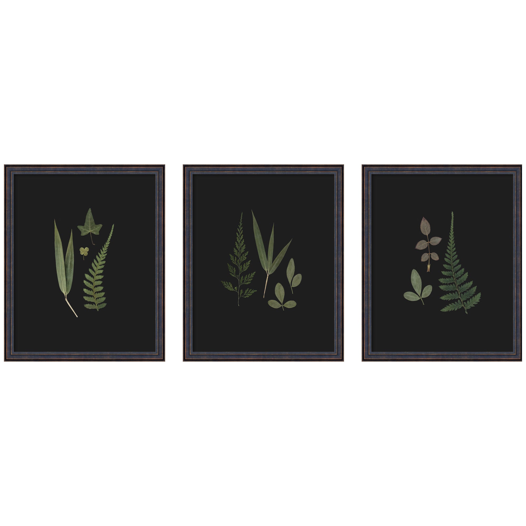 Framed Art Set 3 Piece Set 17x21 Dark Bronze Scoop 1