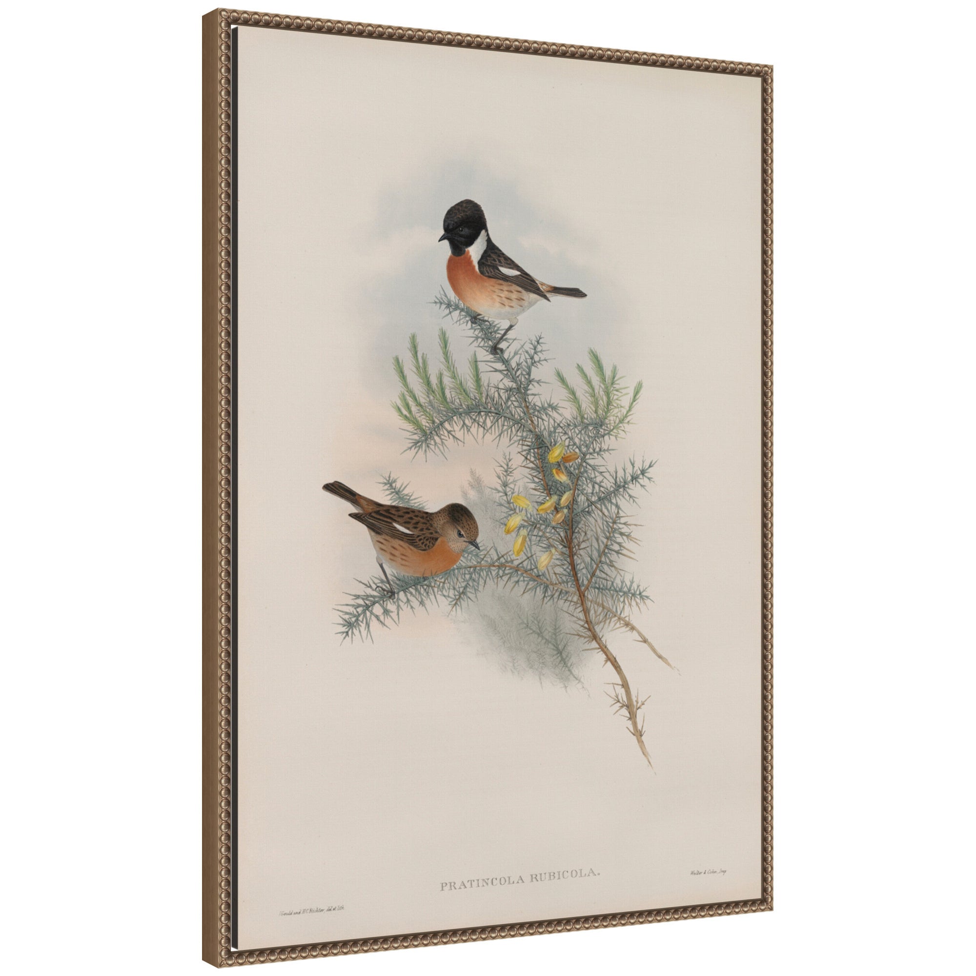 Framed Canvas Sylvie Beaded Dark Gold 23x33 1