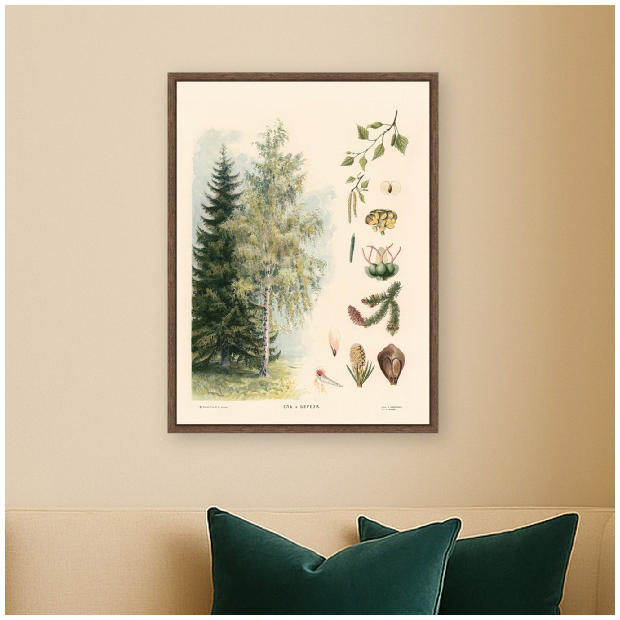 Framed Canvas 18x24 Sylvie Walnut 5