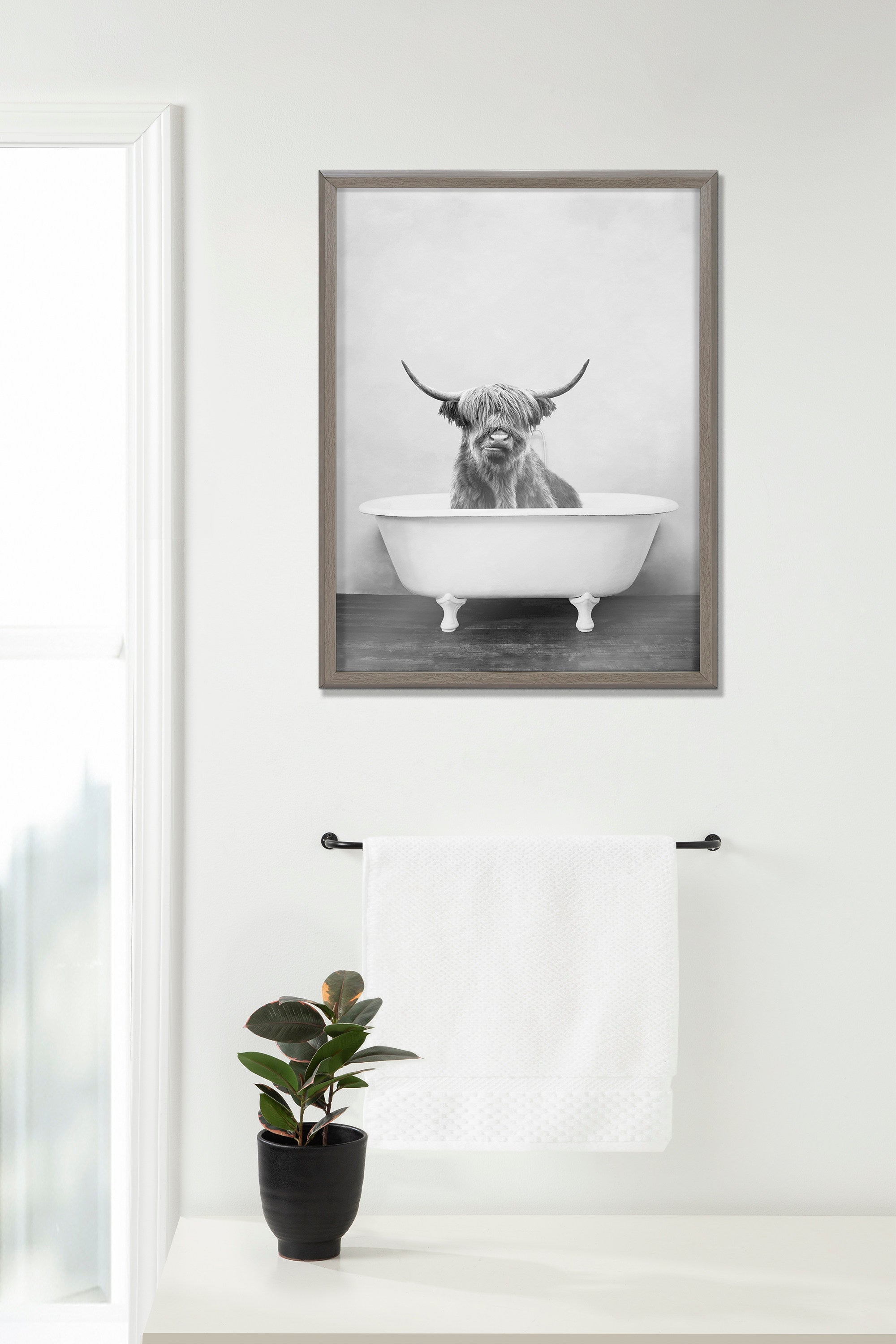 Blake Highland Cow in the Tub BW Framed Printed Glass by Amy Peterson Art Studio