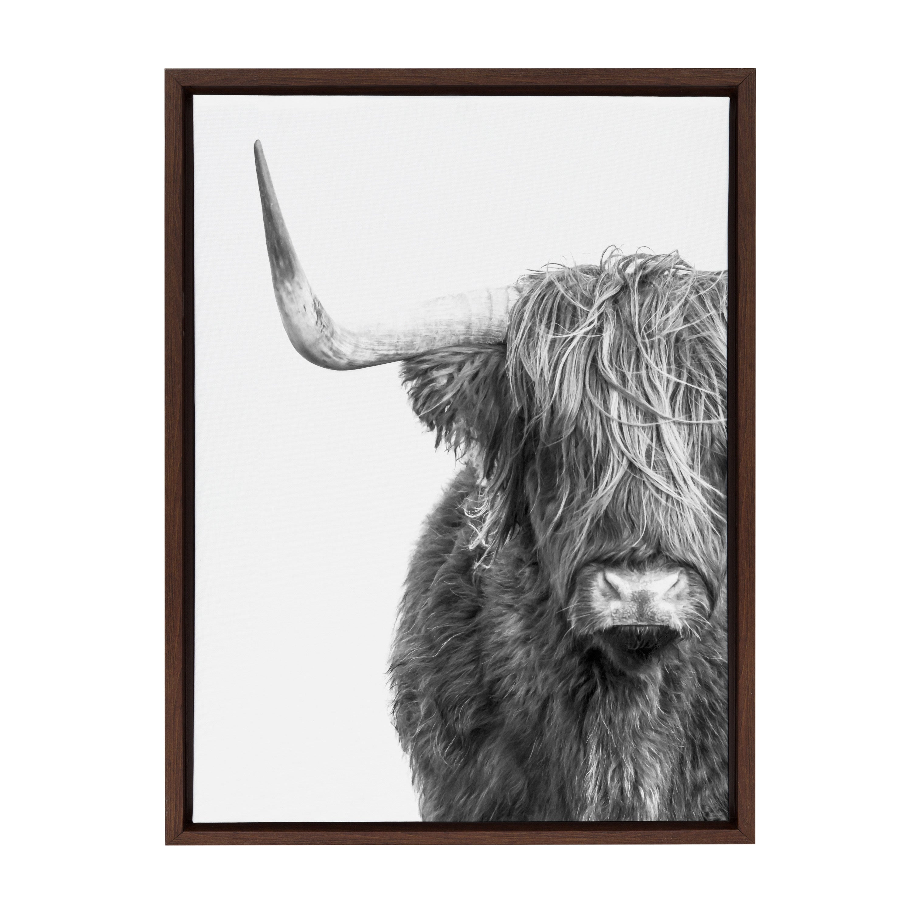 Framed Canvas Sylvie Walnut 18x24 2