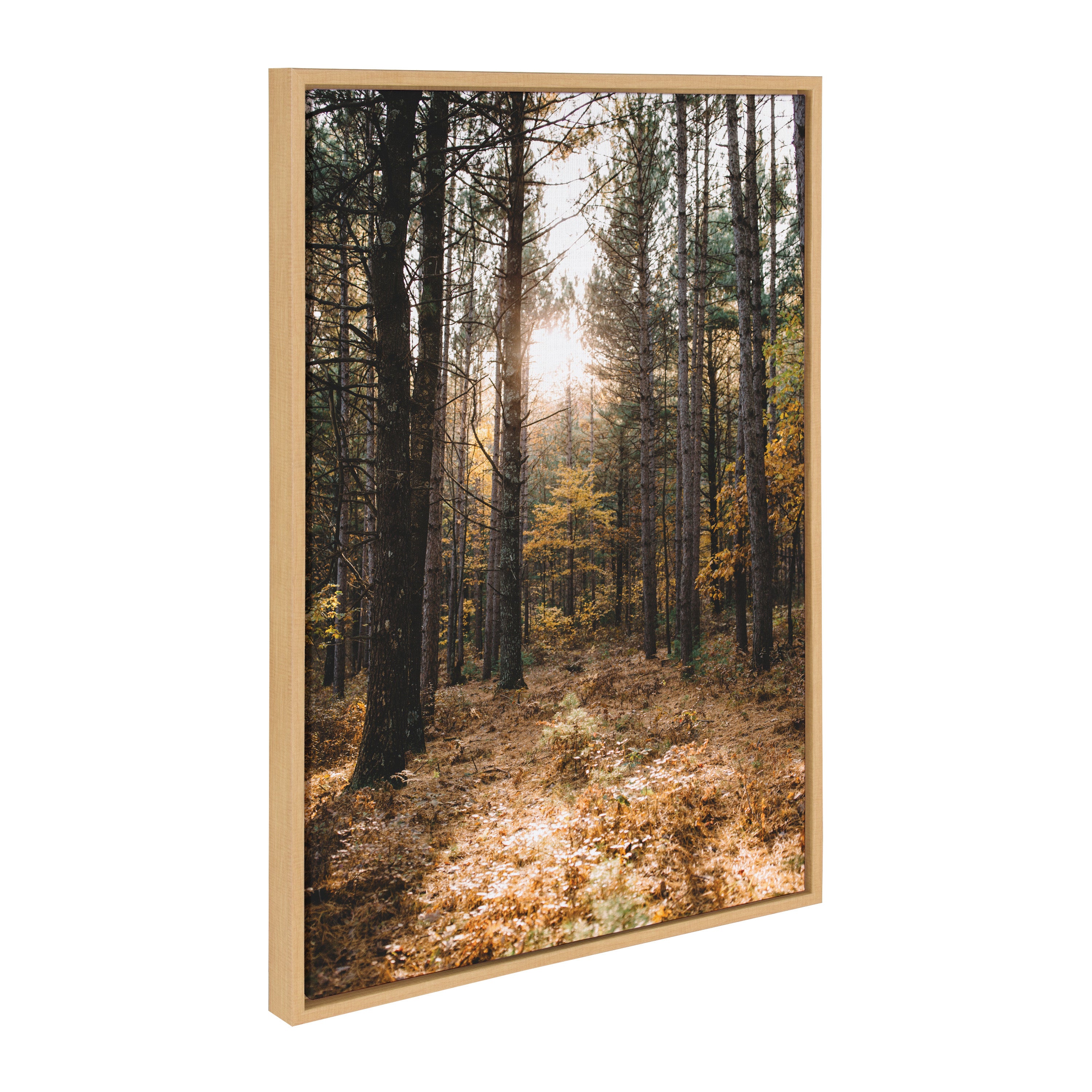 Sylvie A Walk in the Woods Framed Canvas by Patricia Hasz