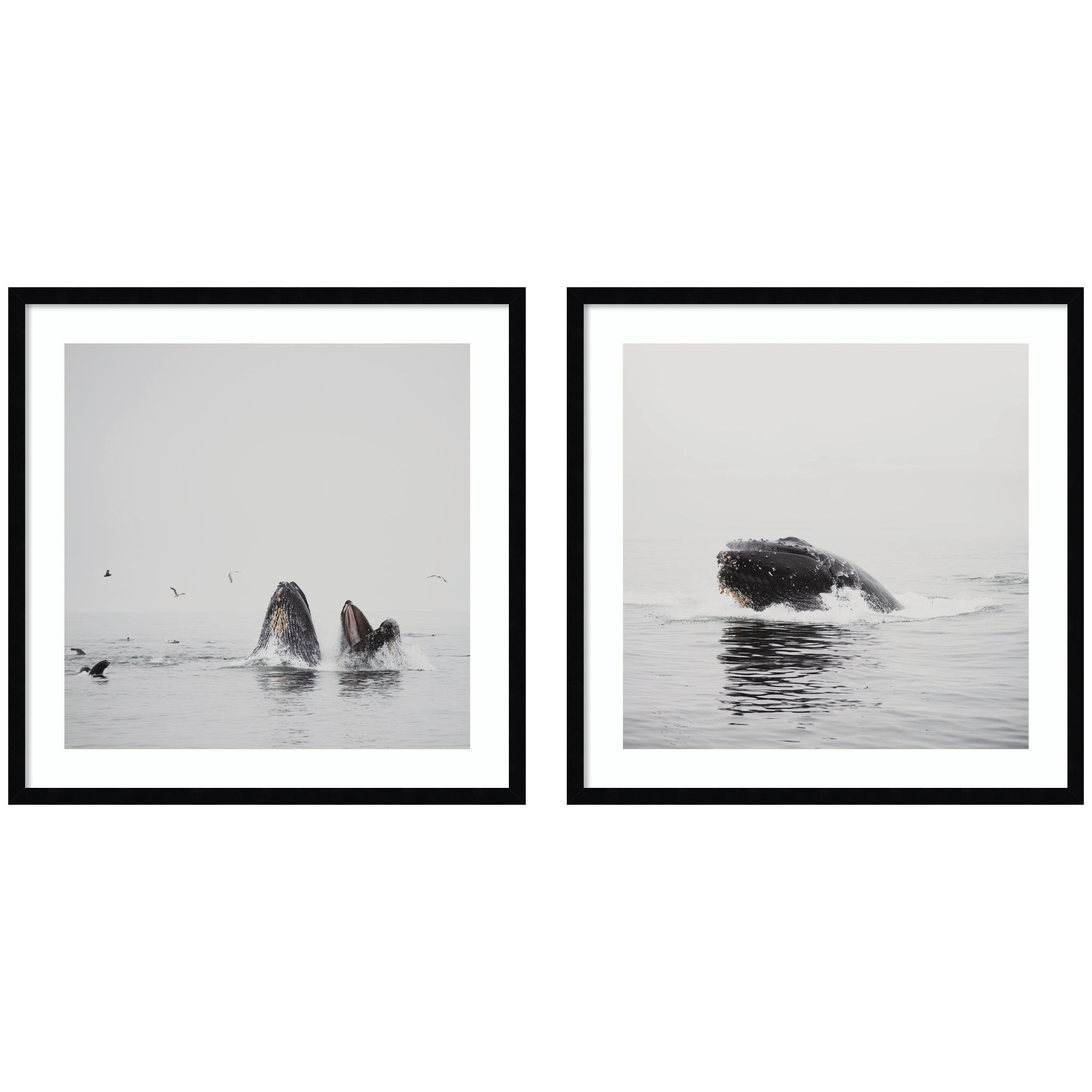 Framed Art Set Svelte Noir Black 2 Piece Set 25x25 1