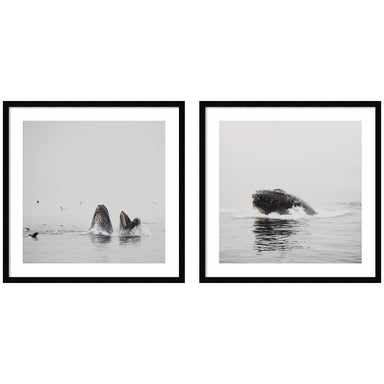 Framed Art Set Svelte Noir Black 2 Piece Set 25x25 1