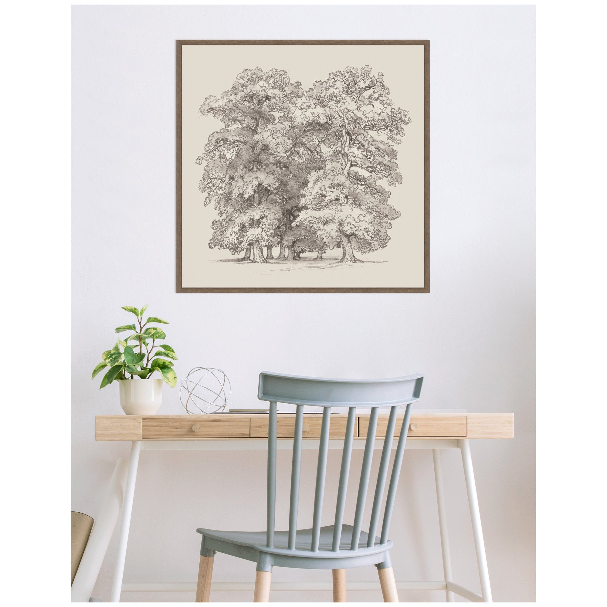 Framed Canvas 30 x 30 Sylvie Walnut 7