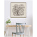 Framed Canvas 30 x 30 Sylvie Walnut 7