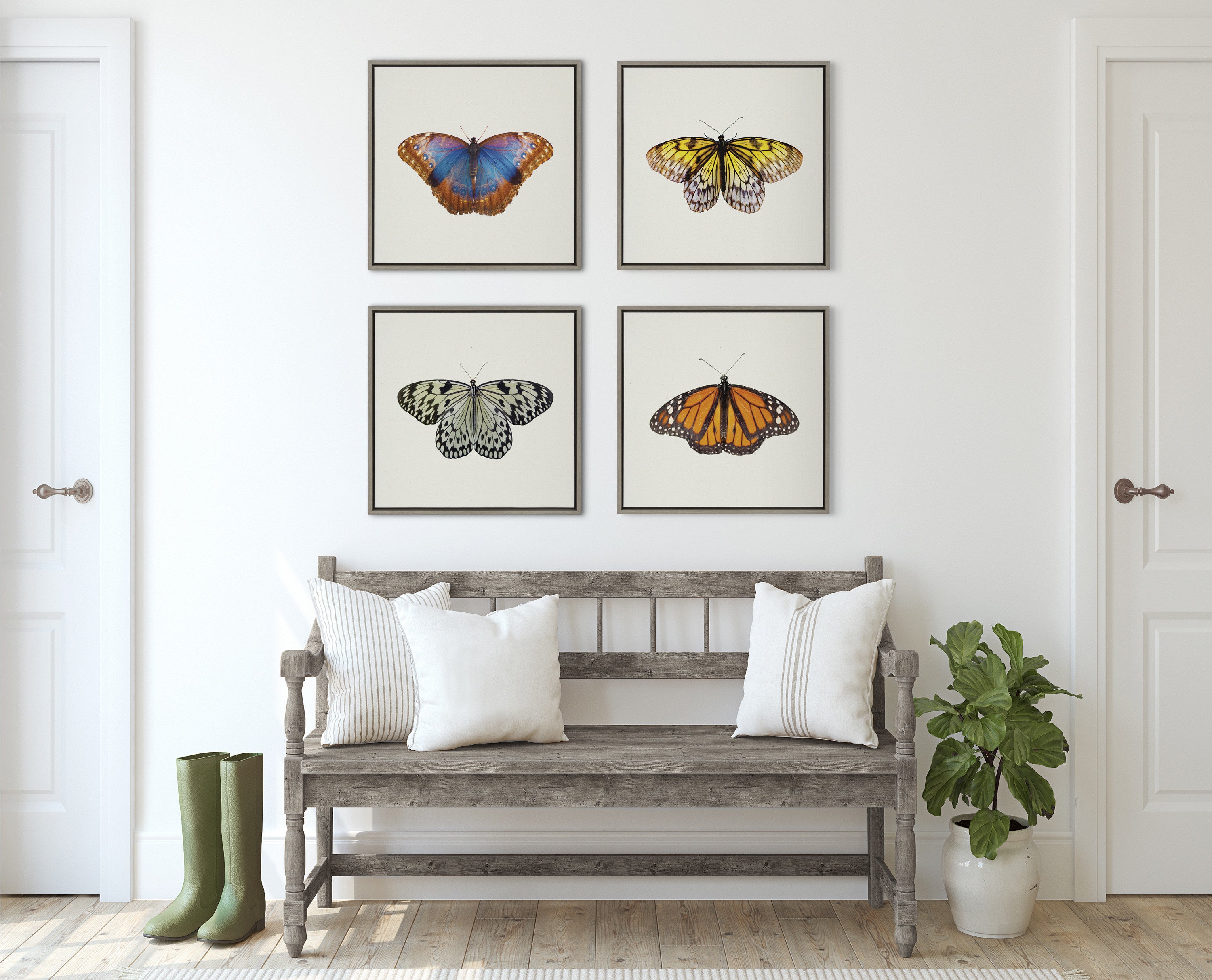 Sylvie Coppertop Butterfly Framed Canvas by Robert Cadloff of Bomobob