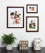 Wall Frame Walnut Brown 11x14 matted to 8x10 7