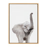 Sylvie Young Elephant Framed Canvas by Amy Peterson