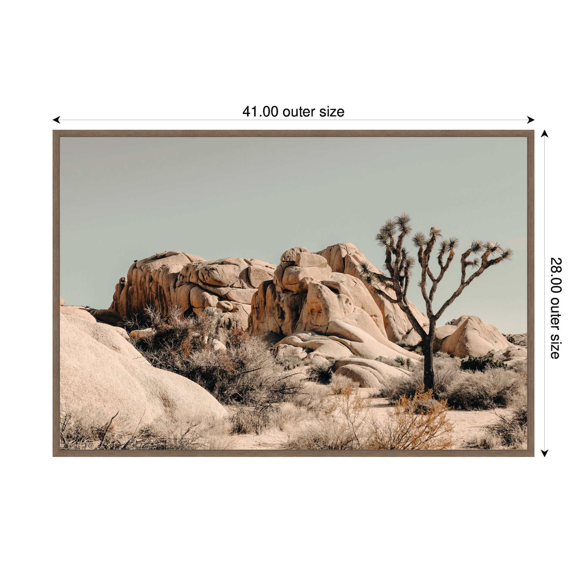 Joshua Tree No. 3 by Alicia Bock Framed Canvas Wall Art Print
