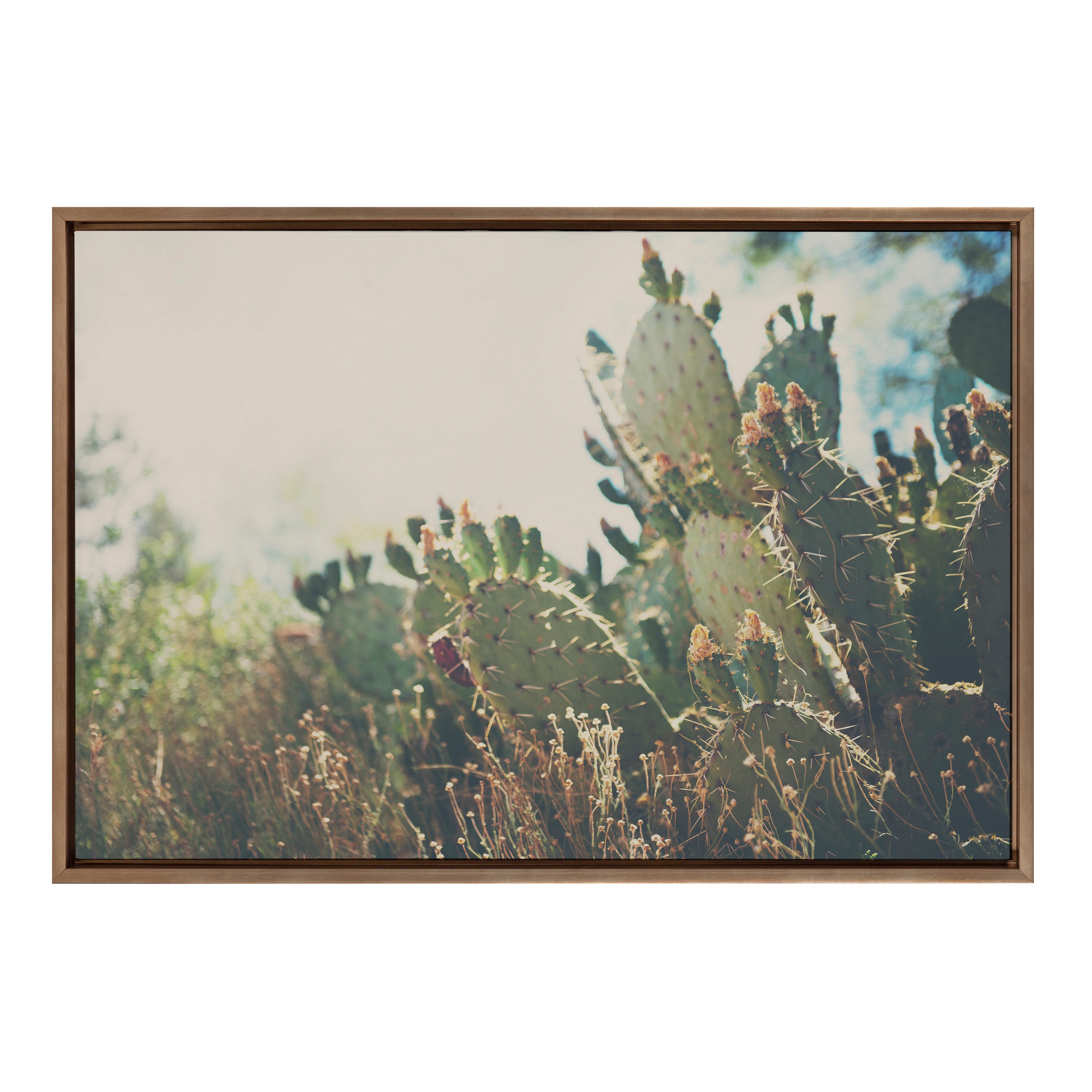 Framed Canvas Sylvie Dark Gold 23x33 2