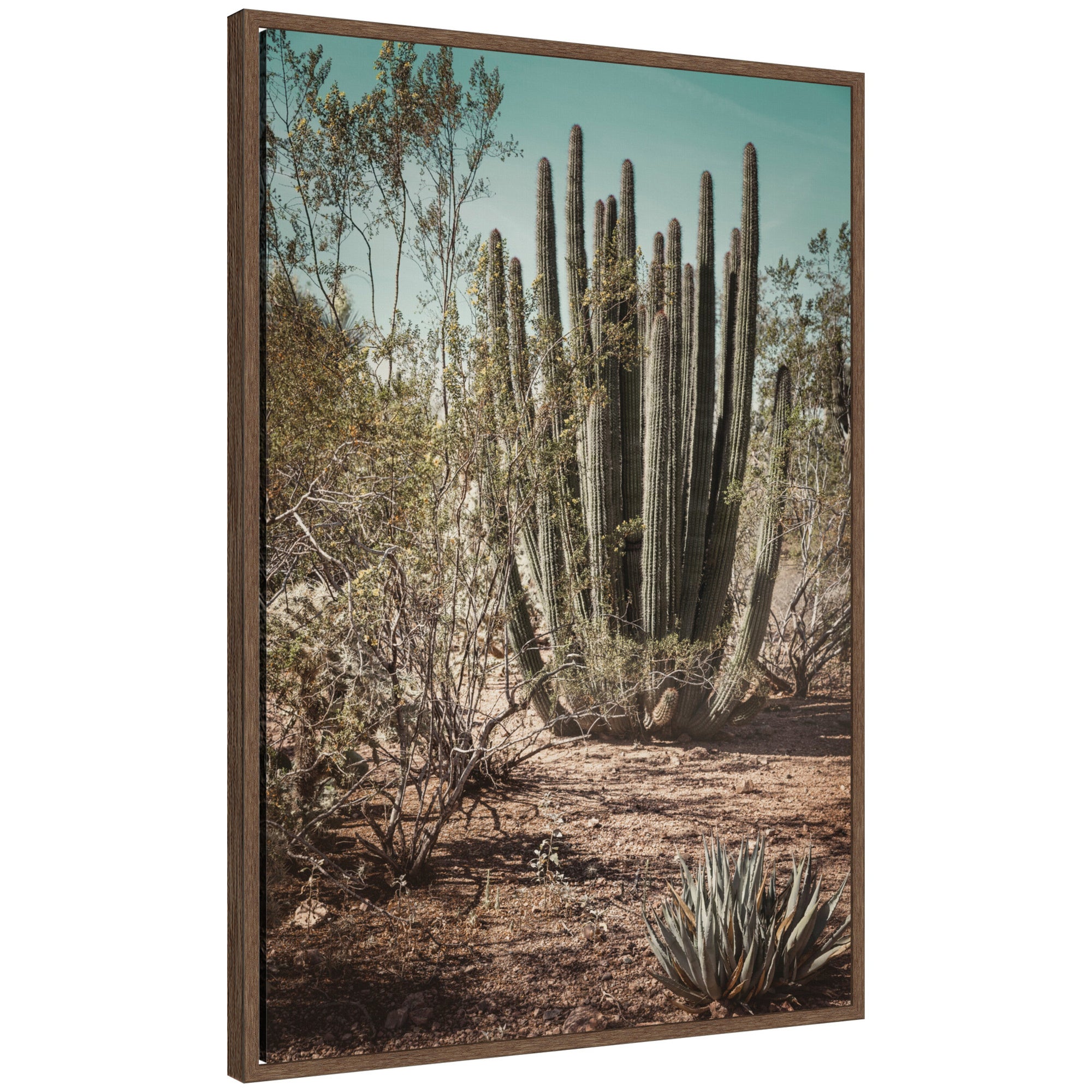 Framed Canvas 23x33 Sylvie Walnut 1