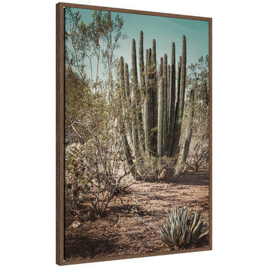 Framed Canvas 23x33 Sylvie Walnut 1