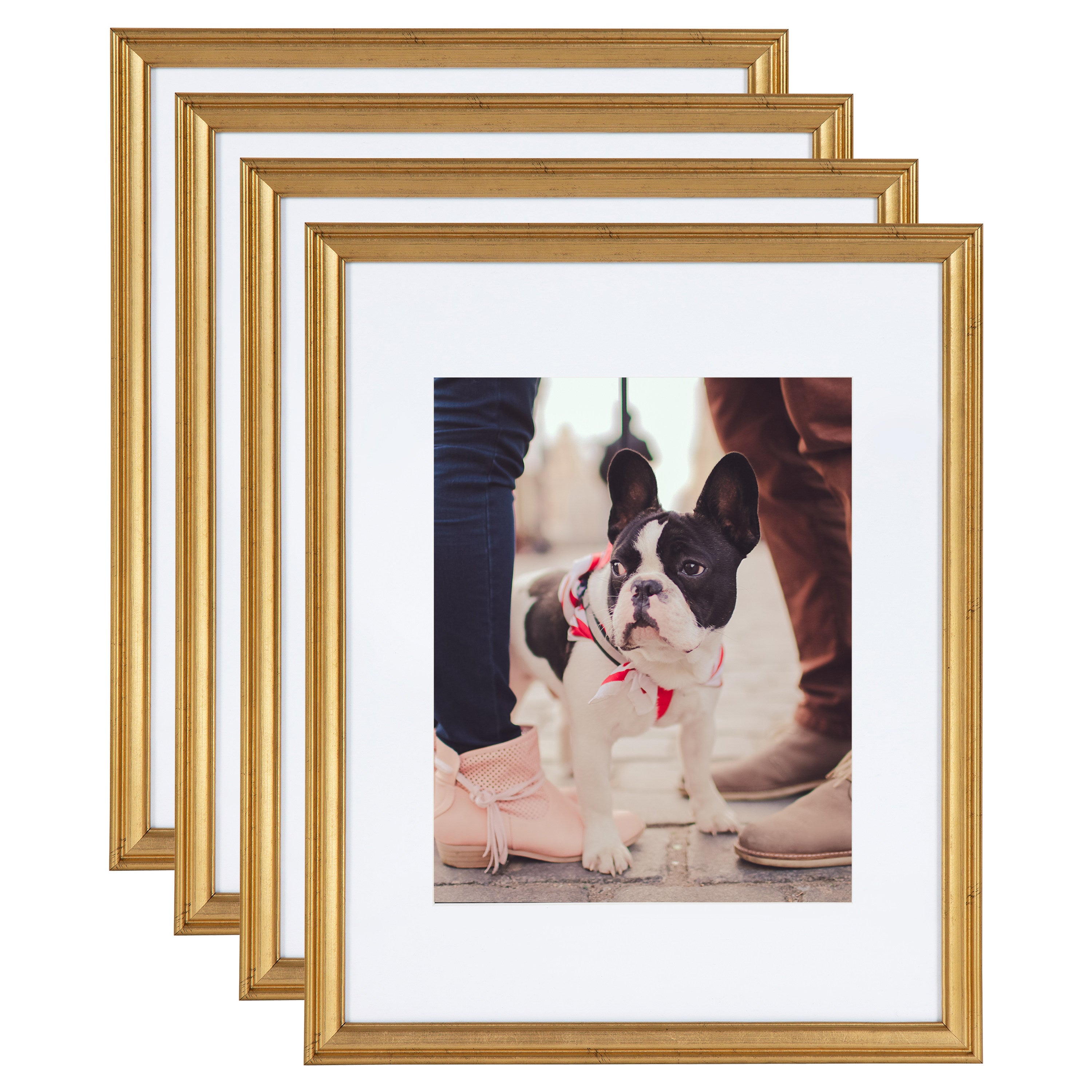 Wall Frame Gold 11x14 matted to 8x10 1