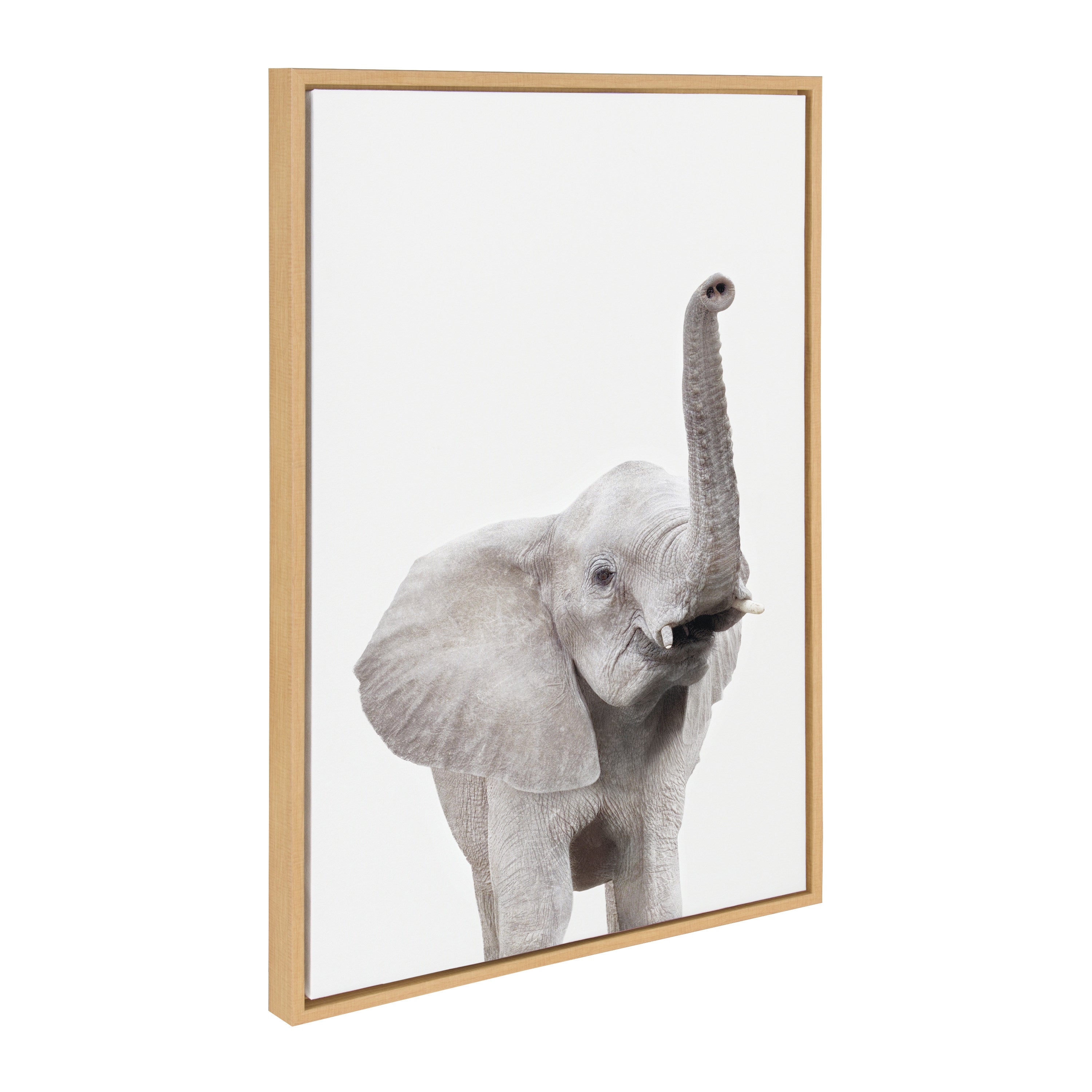 Sylvie Young Elephant Framed Canvas by Amy Peterson