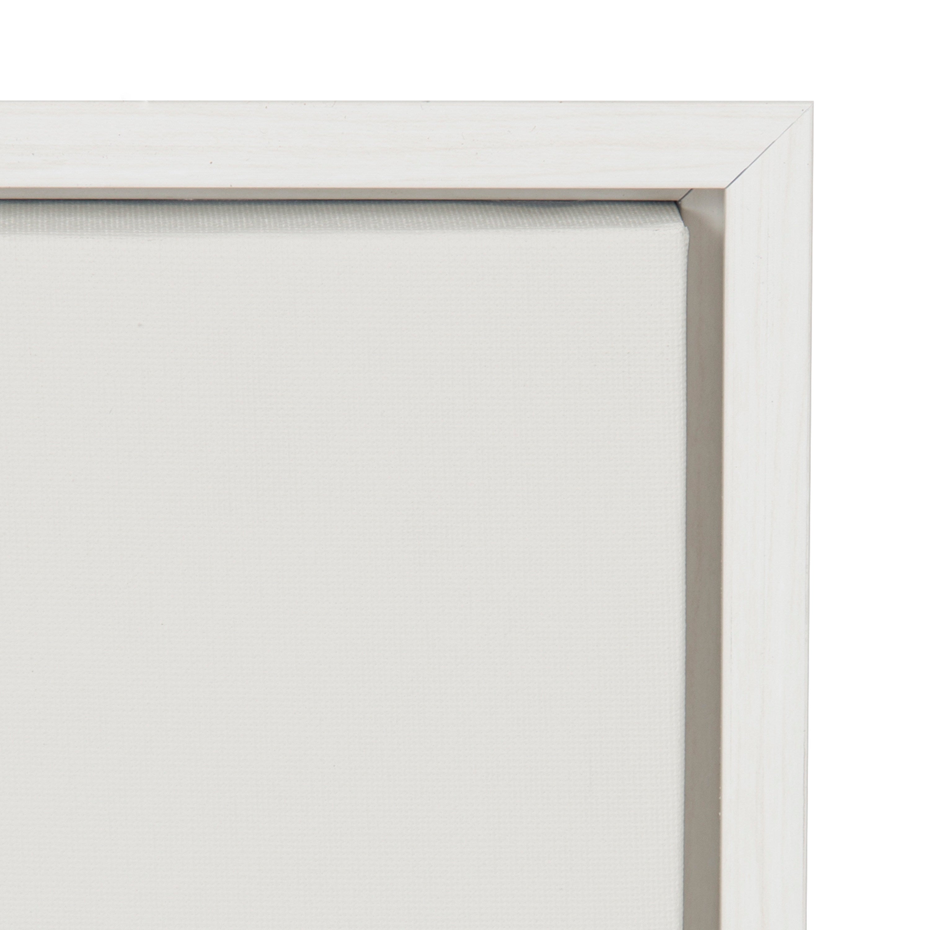 Sylvie Haze Aloe Succulent Framed Canvas by The Creative Bunch Studio