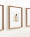 Wall Frame Brown 16x20 matted to 8x10 8