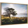 Sylvie Coastal Serene Sunset Tree Landscape Framed Canvas by Patricia Hasz of Patricia Rae Photography