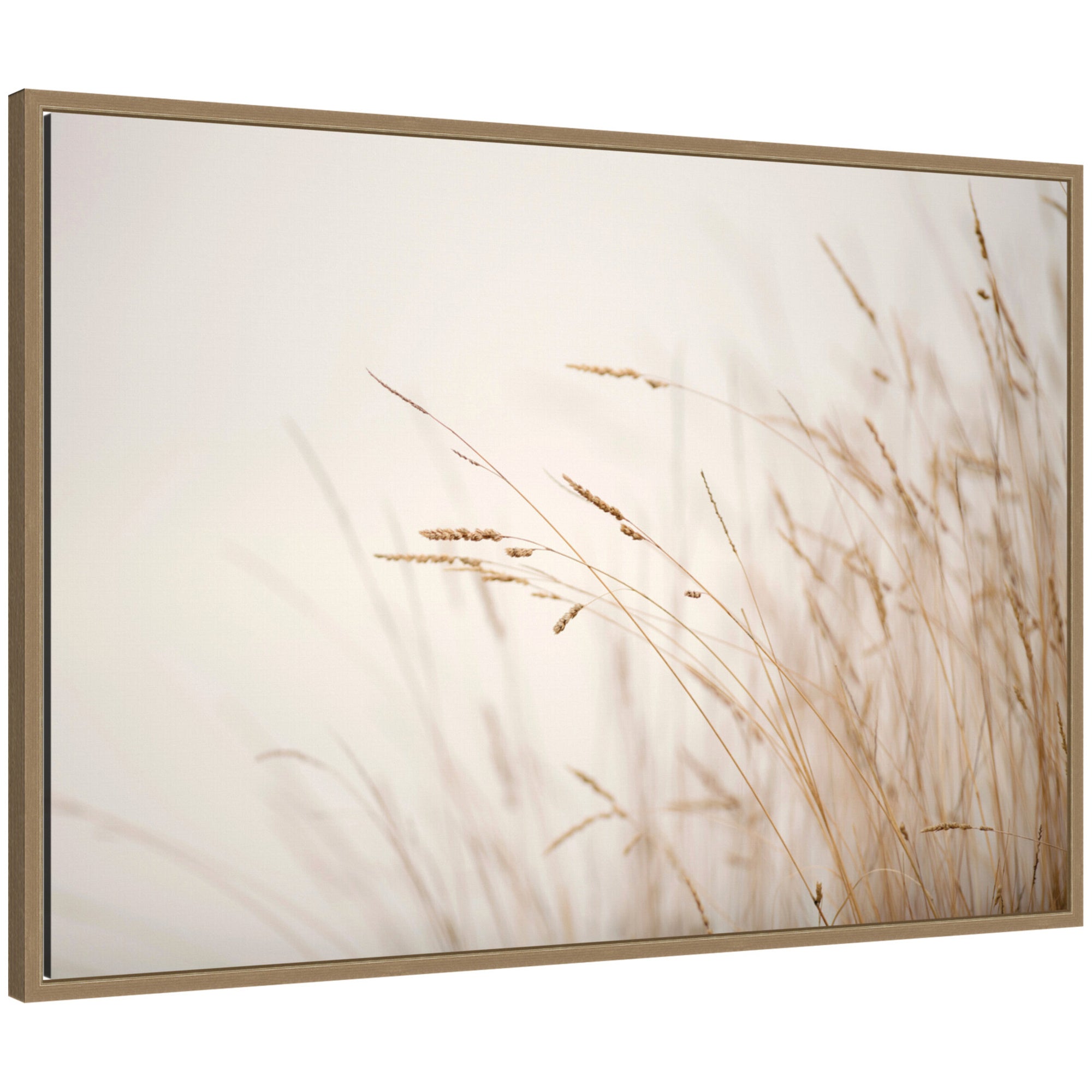 Framed Canvas 33x23 Sylvie Dark Gold 1