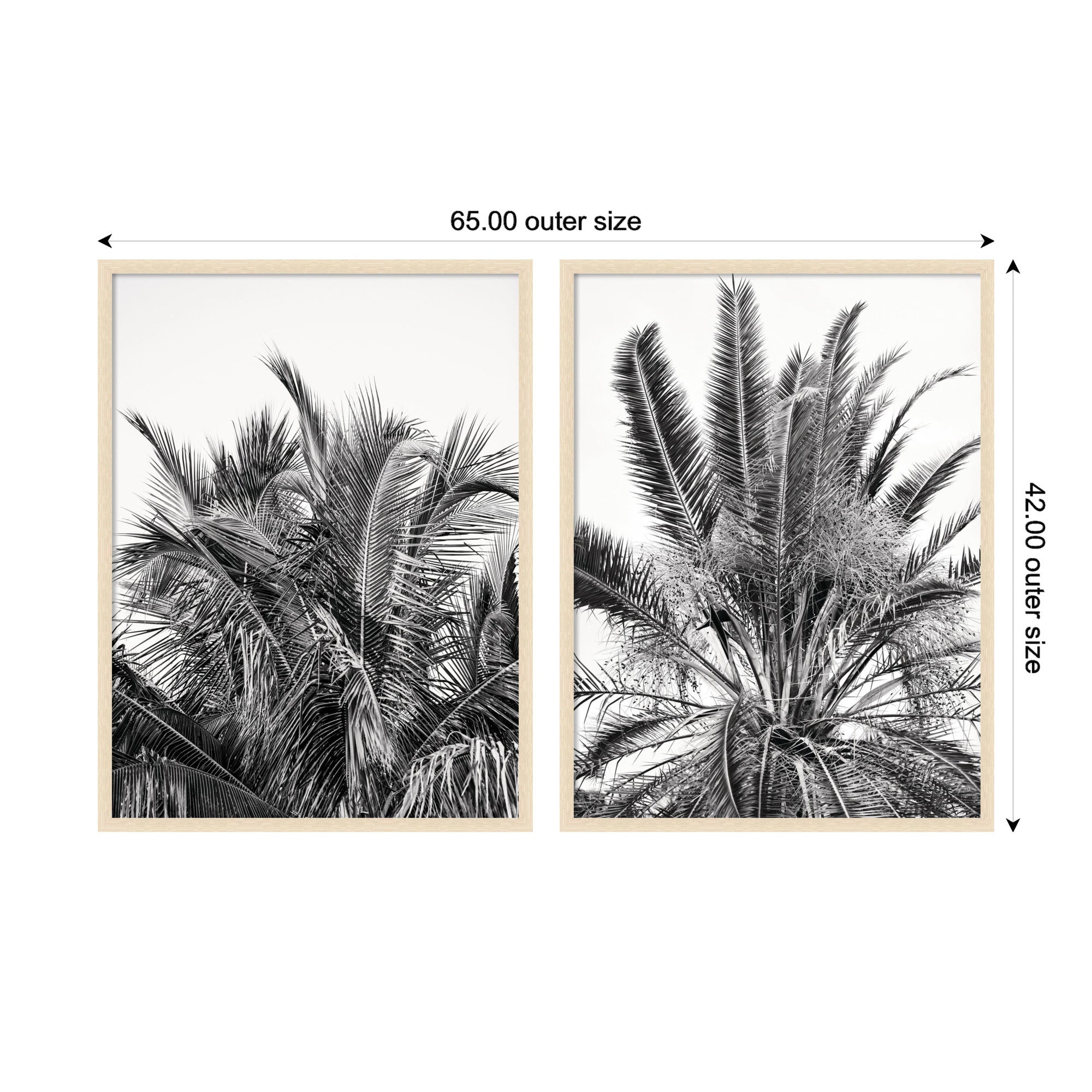 Palm No. 13 & 15 2 Piece Framed Wall Art Print Set by Alicia Bock
