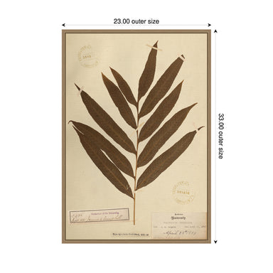 Framed Canvas 23x33 Sylvie Dark Gold 2