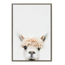 Sylvie Alpaca Bangs Framed Canvas by Amy Peterson Art Studio