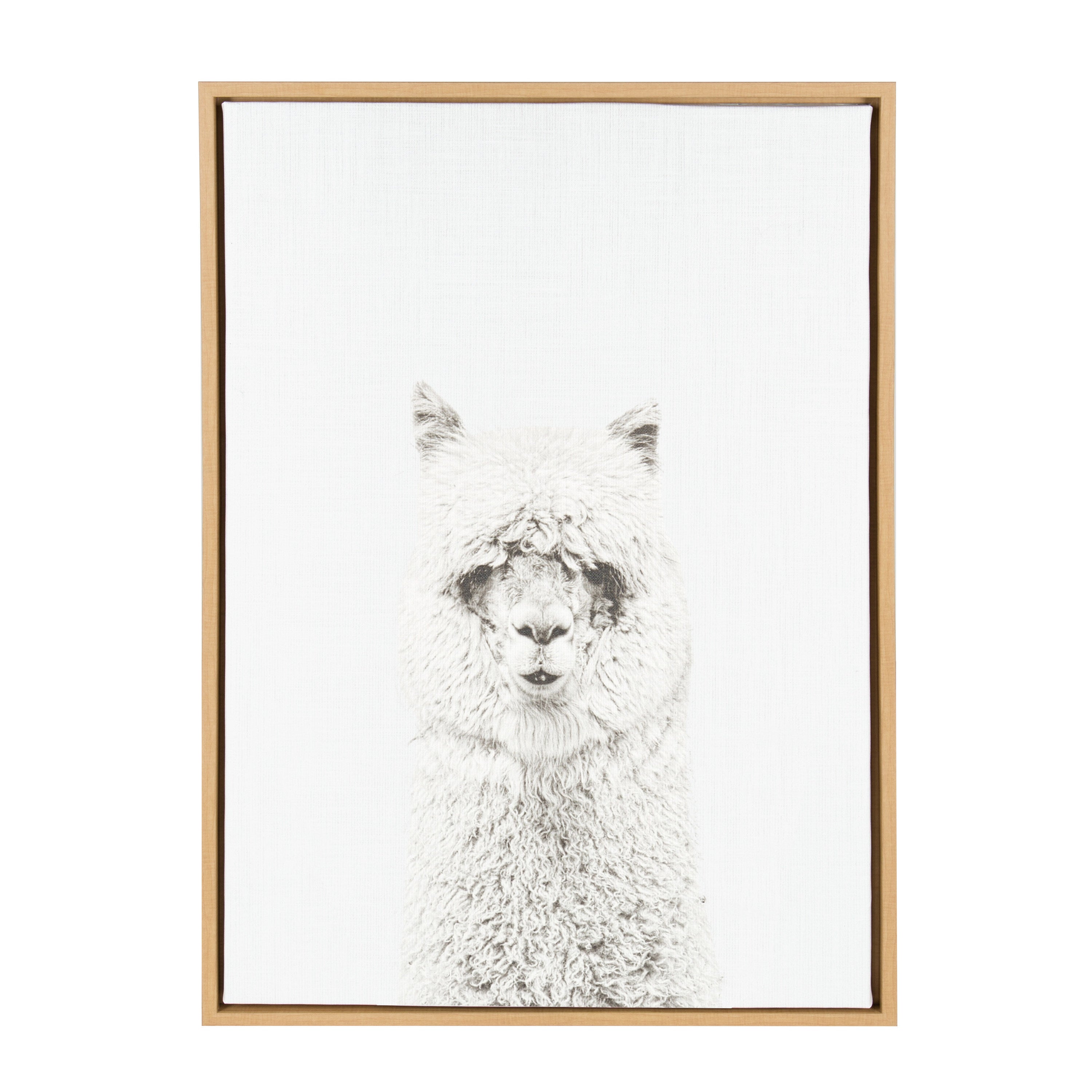 Sylvie Hairy Alpaca Framed Canvas by Simon Te of Tai Prints