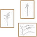 Art Set 3 Piece Set 18x24 Sylvie Natural 1