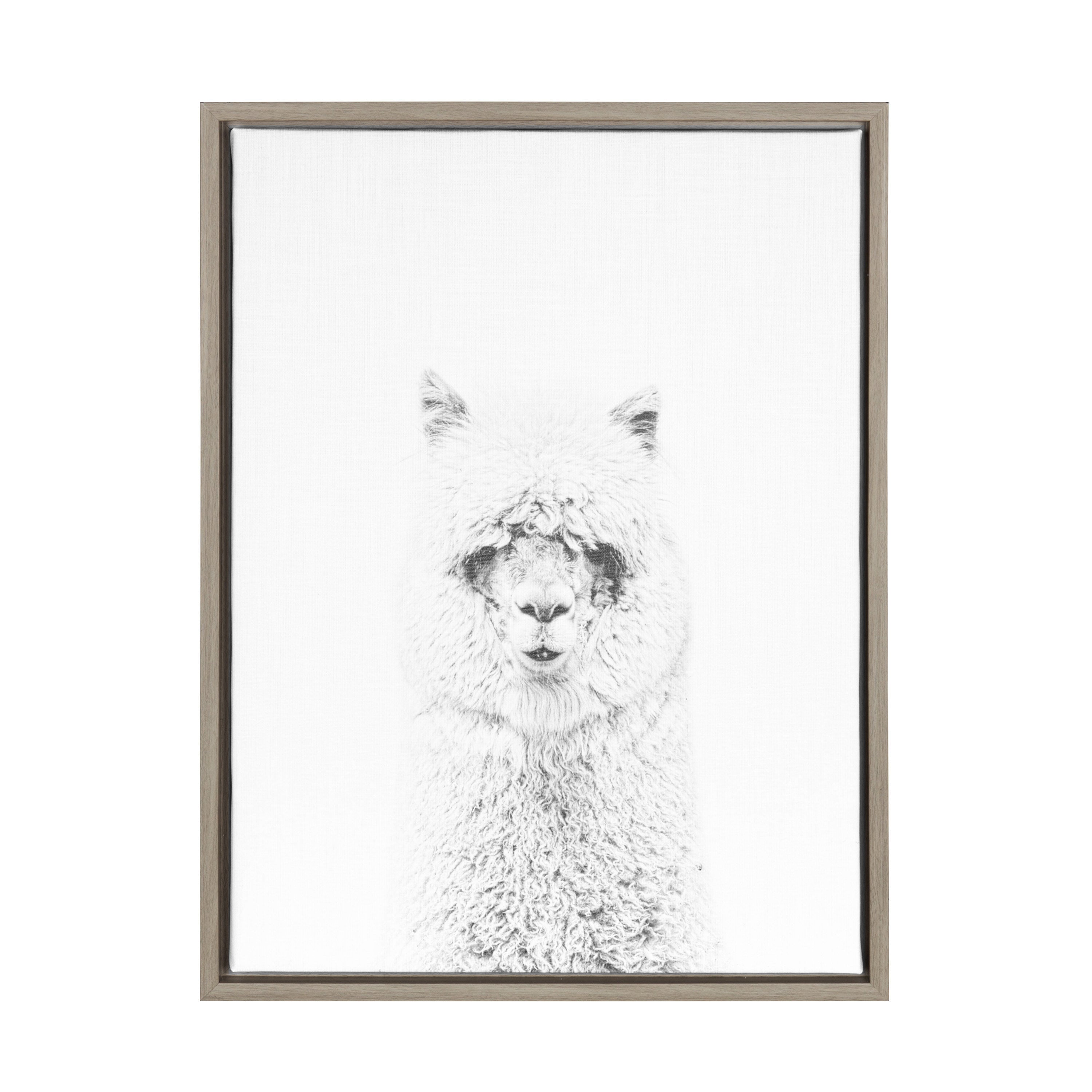 Sylvie Hairy Alpaca Framed Canvas by Simon Te of Tai Prints