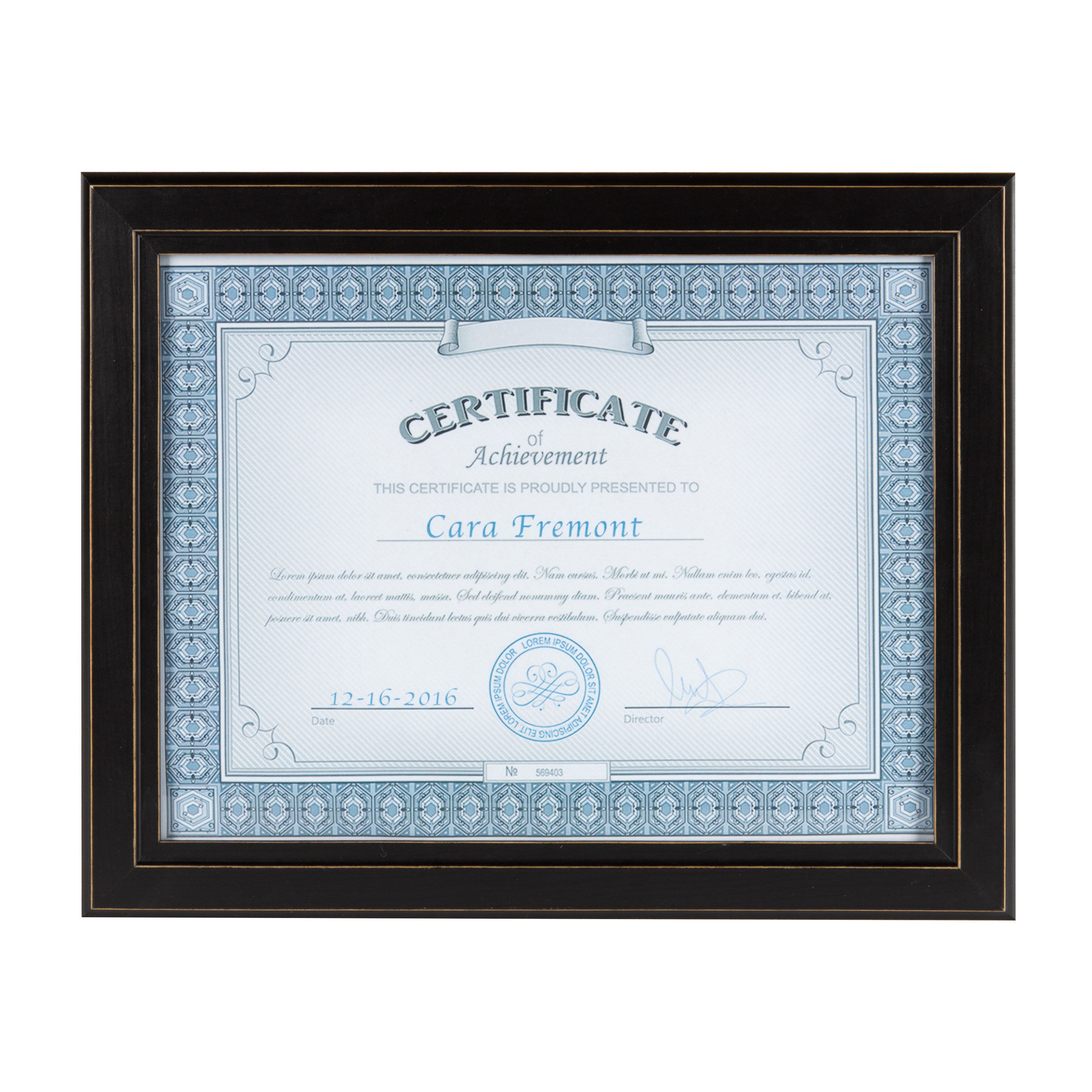 Document Frame Distressed Black 8.5x11 2