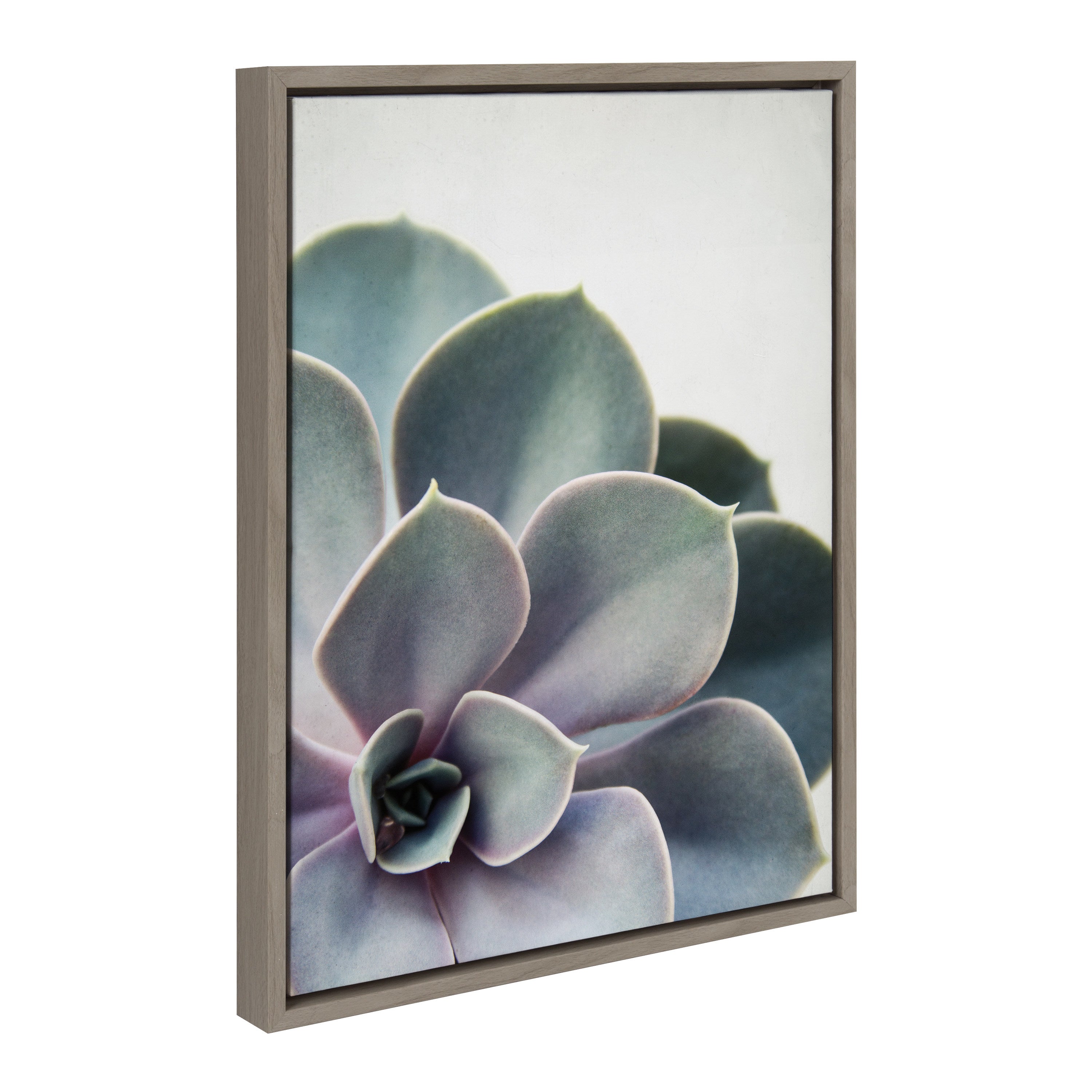Framed Canvas Sylvie Graywash 18x24 2