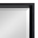 Full Length Mirror Black 17.5x49.5 3