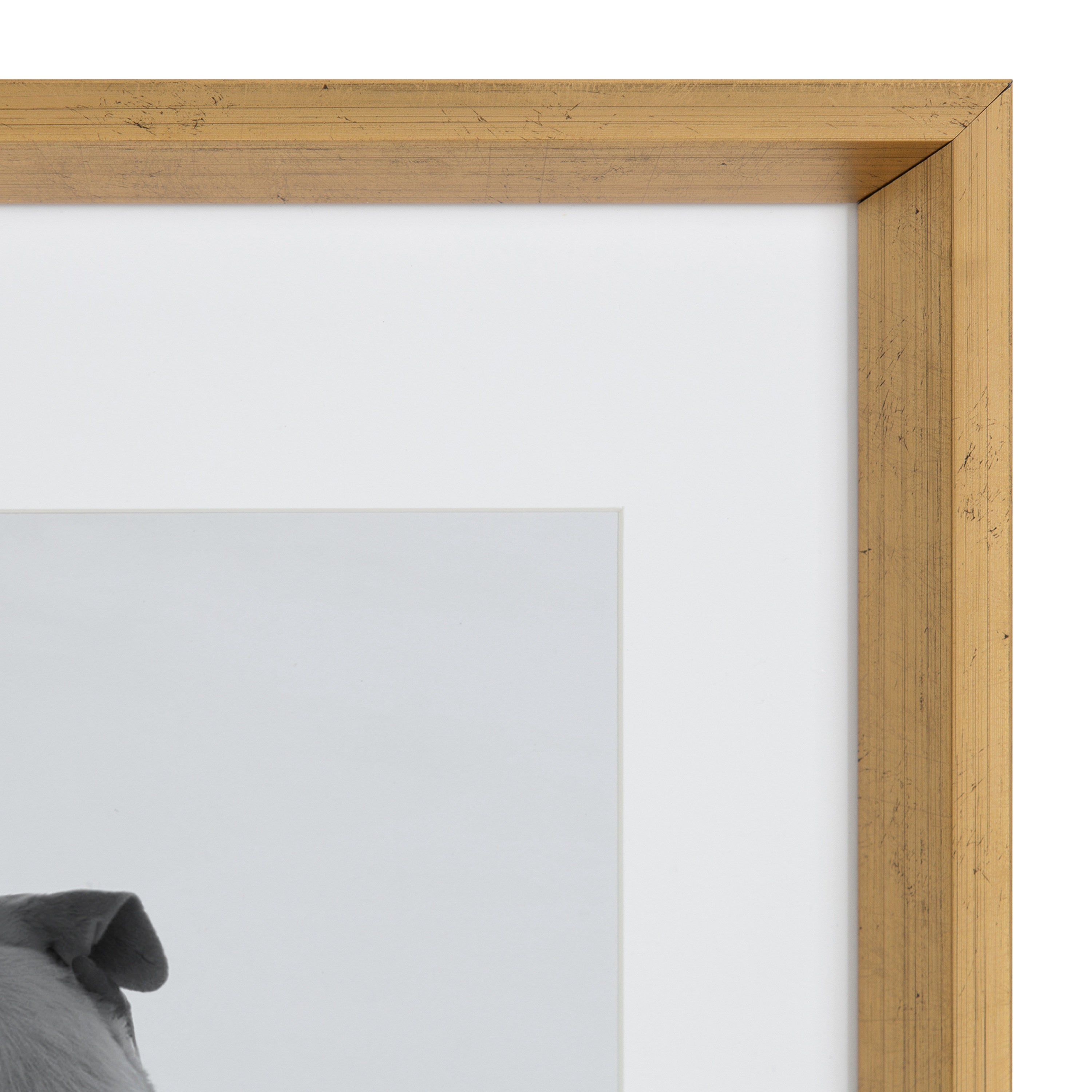 Wall Frame Gold 14x18 matted to 11x14 4