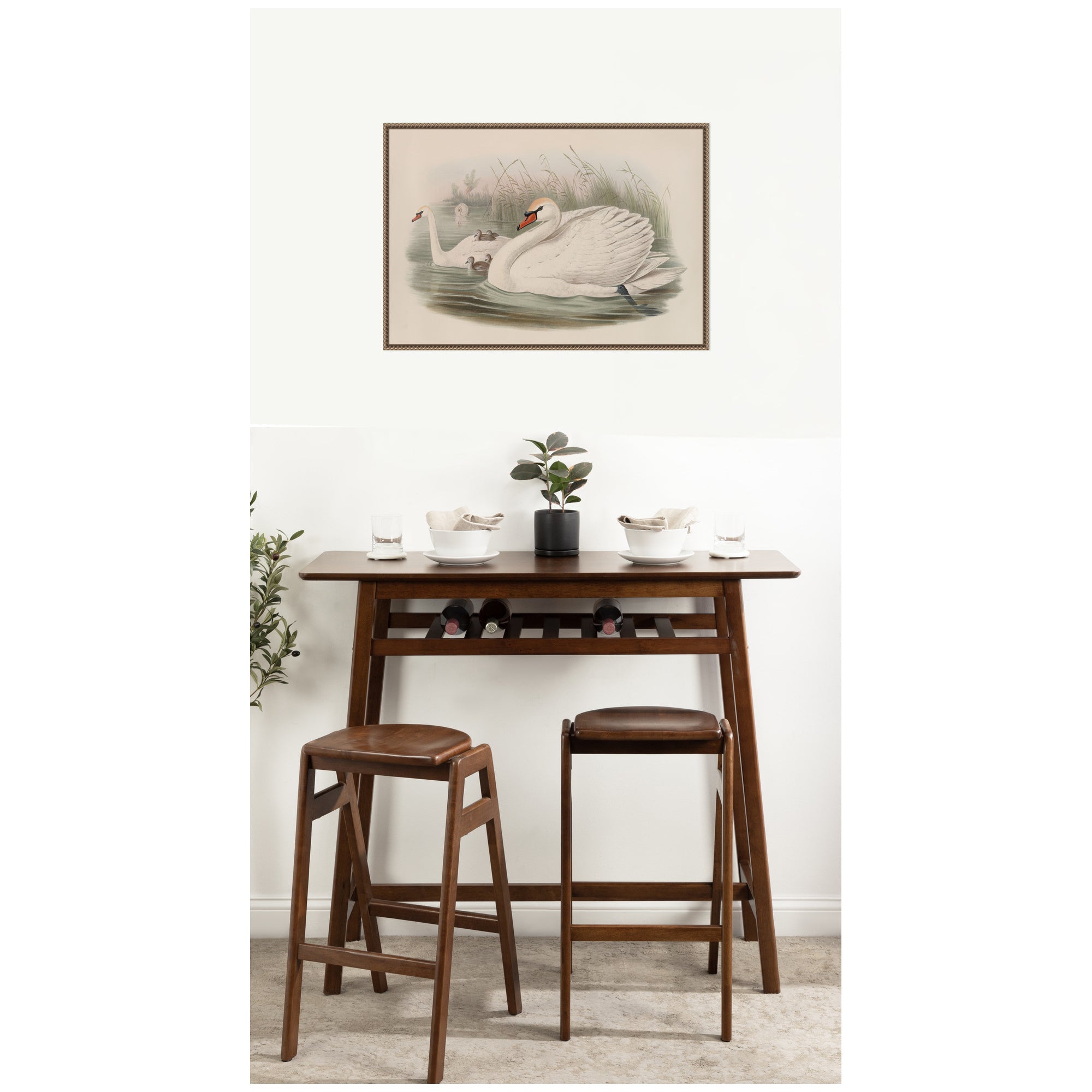 Cygnus olor Mute Swan John Gould by Nostalgia Prints Framed Canvas Wall Art Print