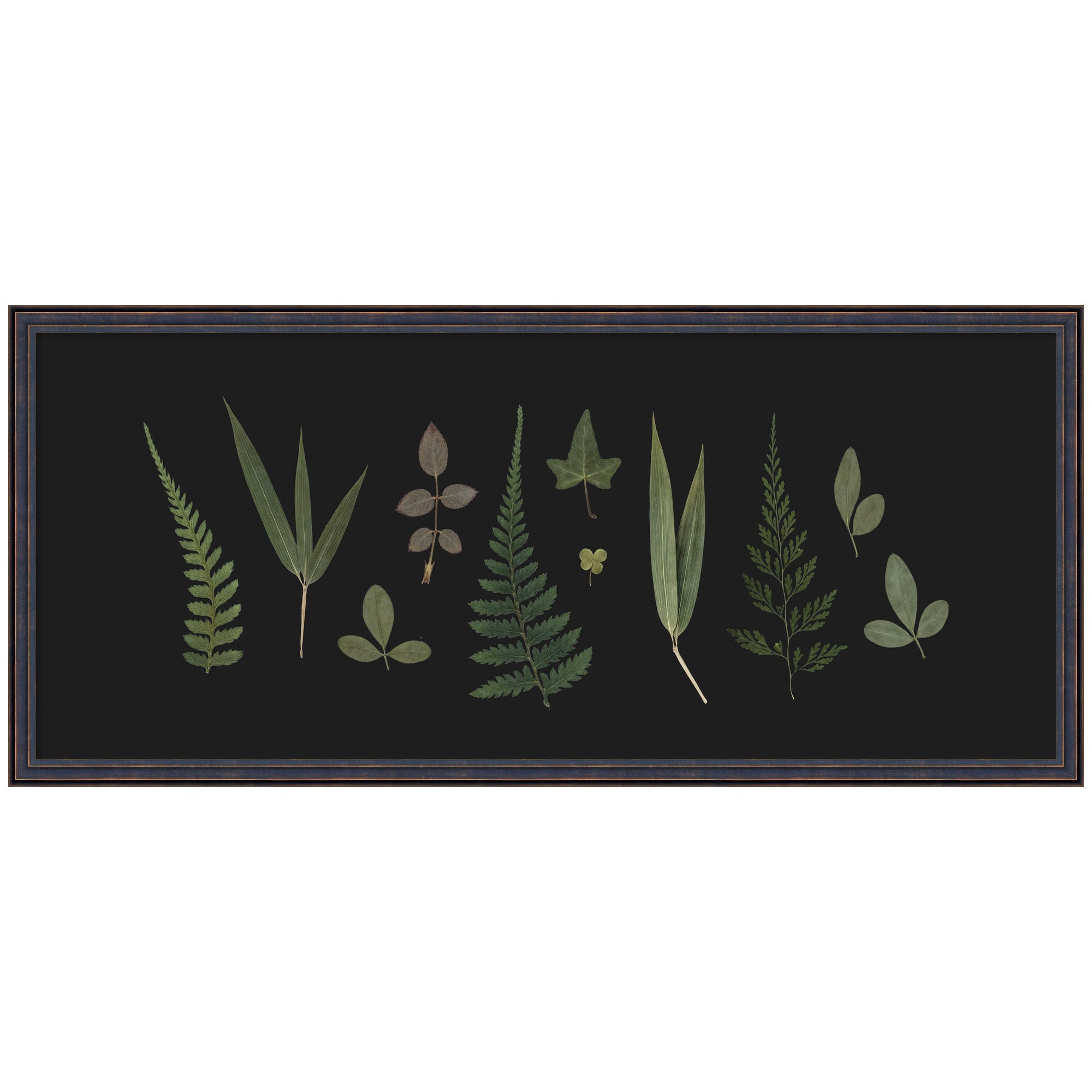 Framed Art 42x19 Dark Bronze Scoop 1