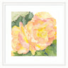 Framed Art Orange Pink Abstract Begonia by Patricia Shaw
