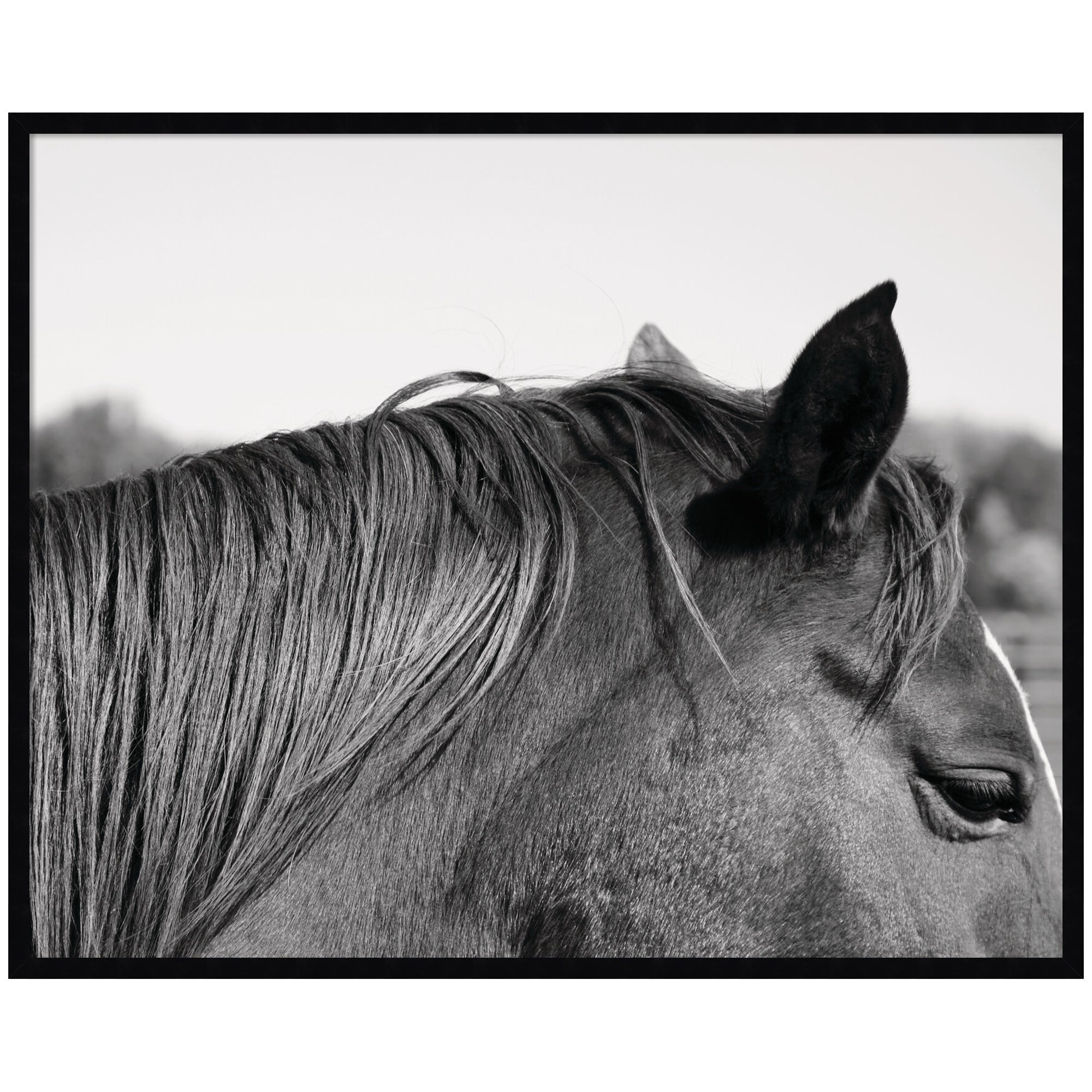 Framed Art Svelte Noir Black 41x33 1