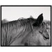 Framed Art Svelte Noir Black 41x33 1