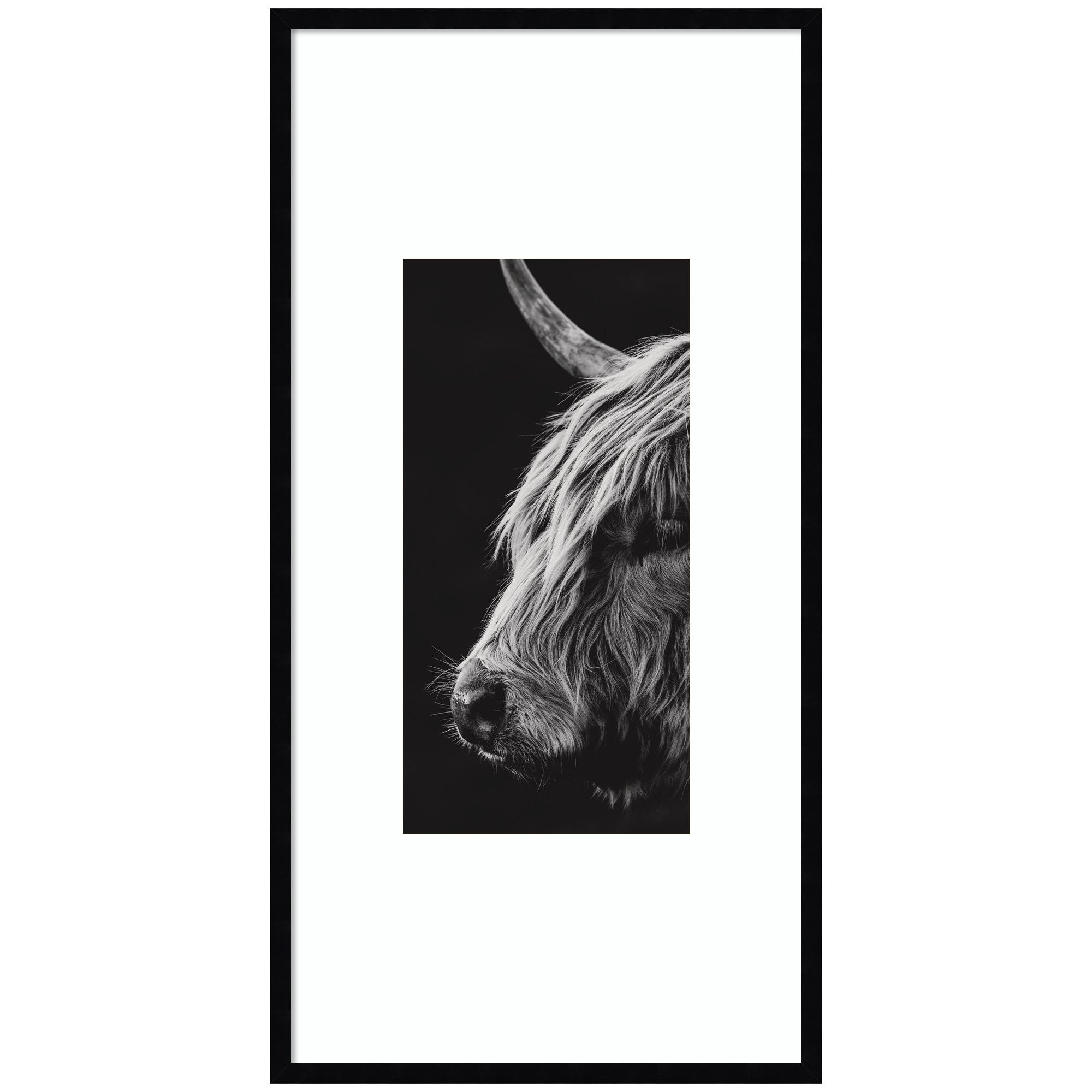 Scottish Highland by Crystal Lynn Collins Framed Wall Art Print
