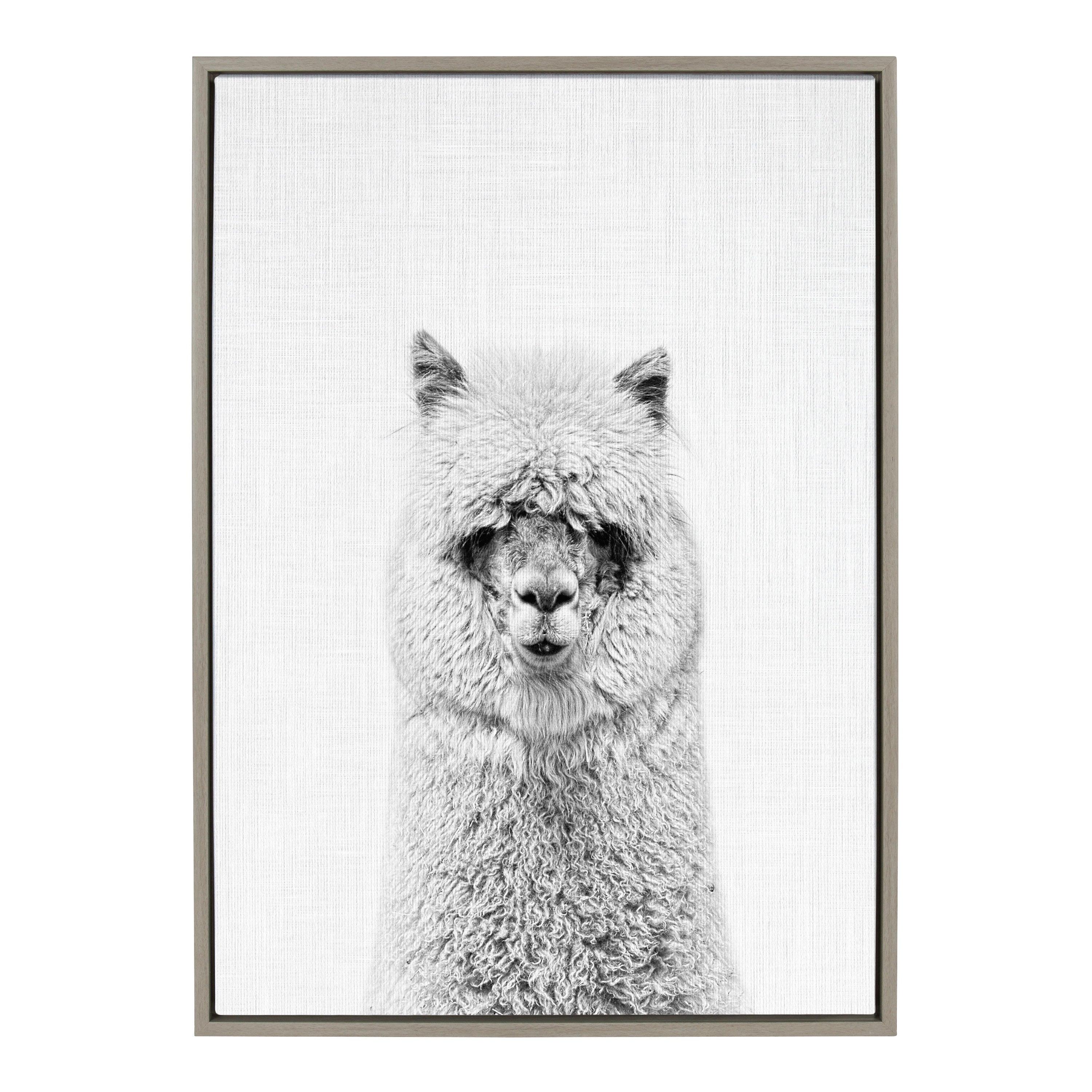 Sylvie Hairy Alpaca Framed Canvas by Simon Te of Tai Prints