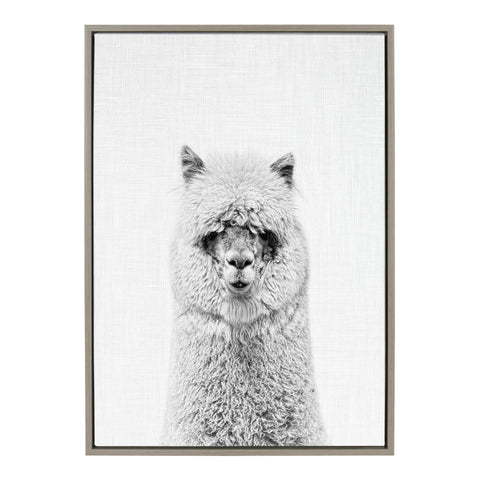Sylvie Hairy Alpaca Framed Canvas by Simon Te of Tai Prints