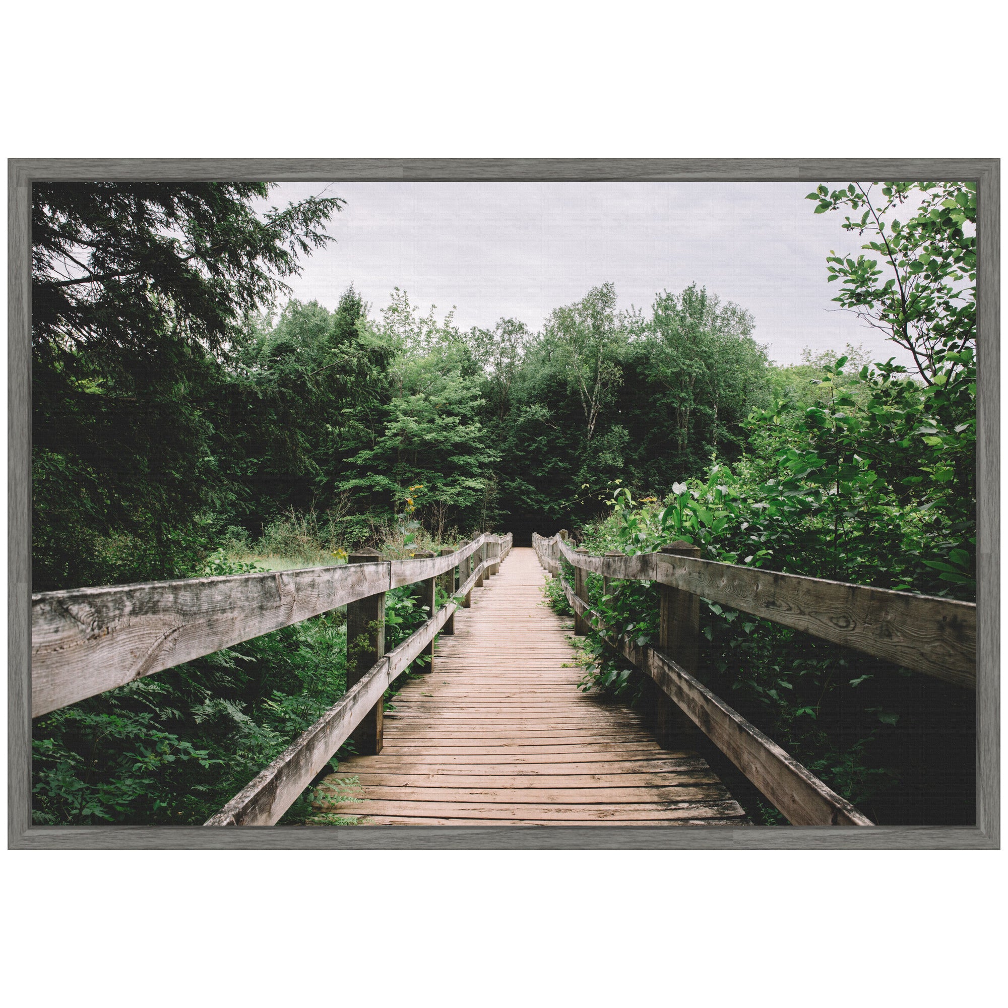 Sylvie Pathway to the Forest Landscape Framed Canvas by Patricia Hasz