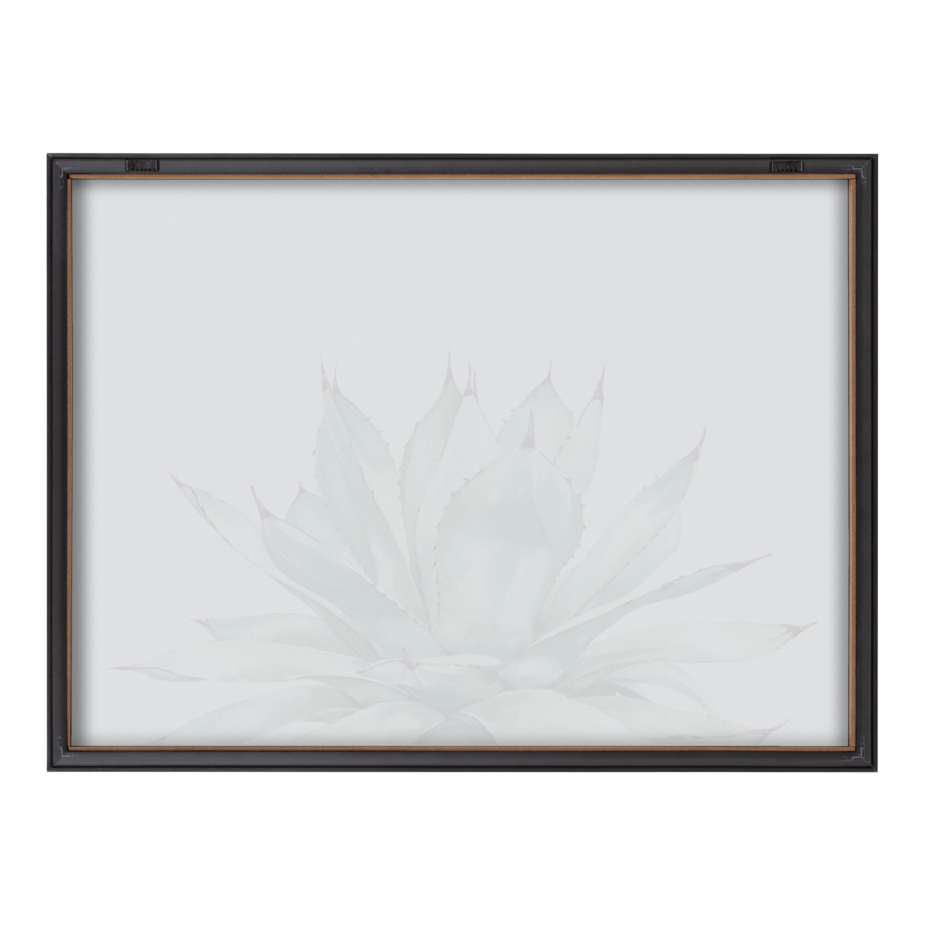 Blake Parrys Agave Framed Printed Glass by Emily Marie Watercolors