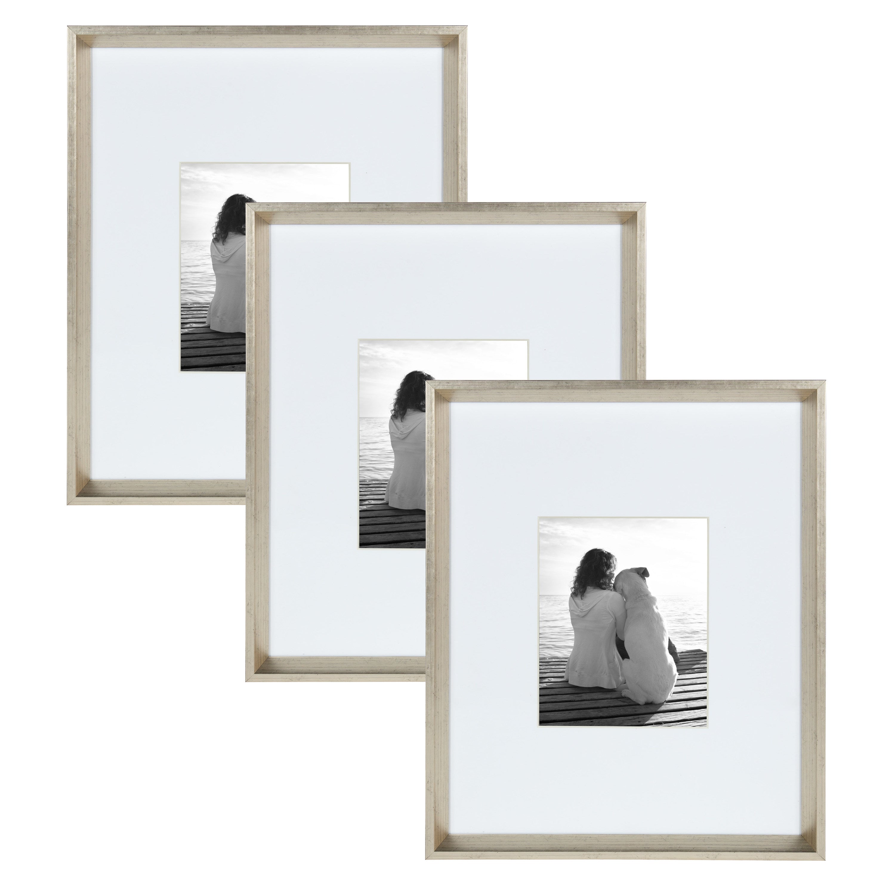 Wall Frame Silver 16x20 matted to 8x10 1