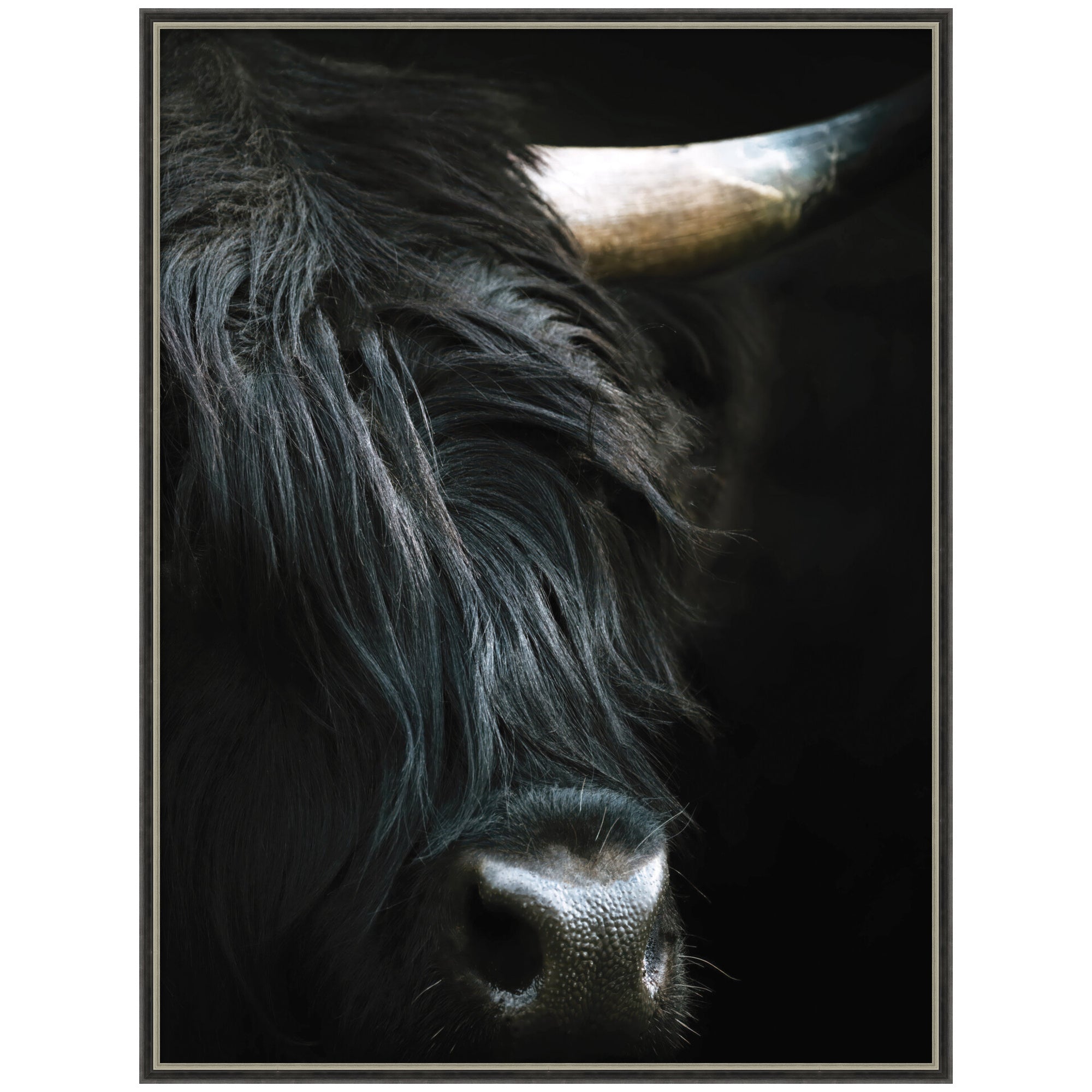 Minimalist Black Highland Cow Close by Michael Schauer Framed Wall Art Print