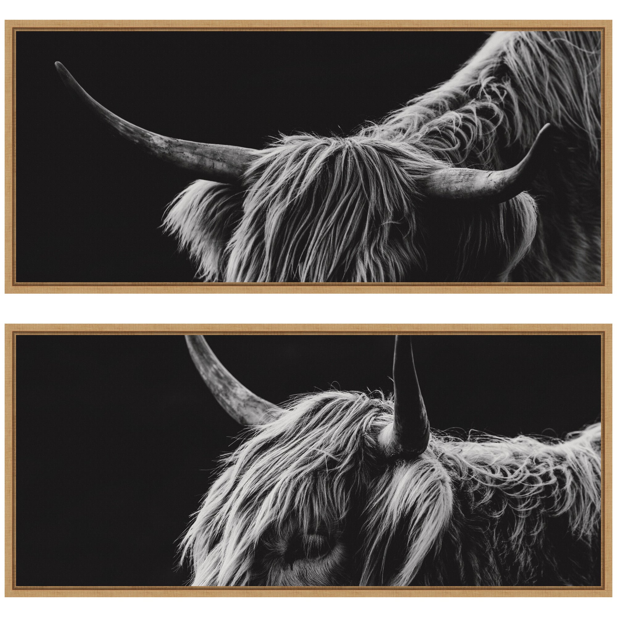 Natural Scottish Highland Panel 2 Piece Framed Canvas Wall Art Set by Crystal Lynn Collins